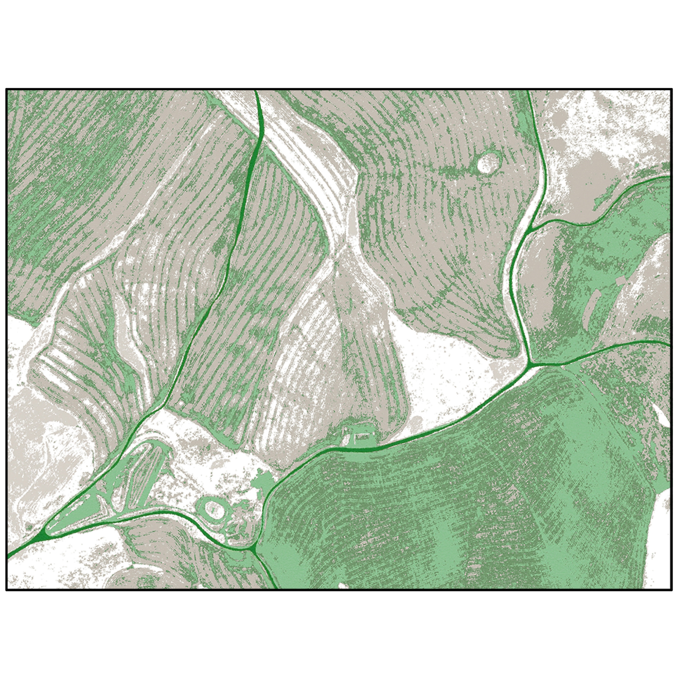 Birds Eye View | BI3.02.3 | 200 x 300 cm