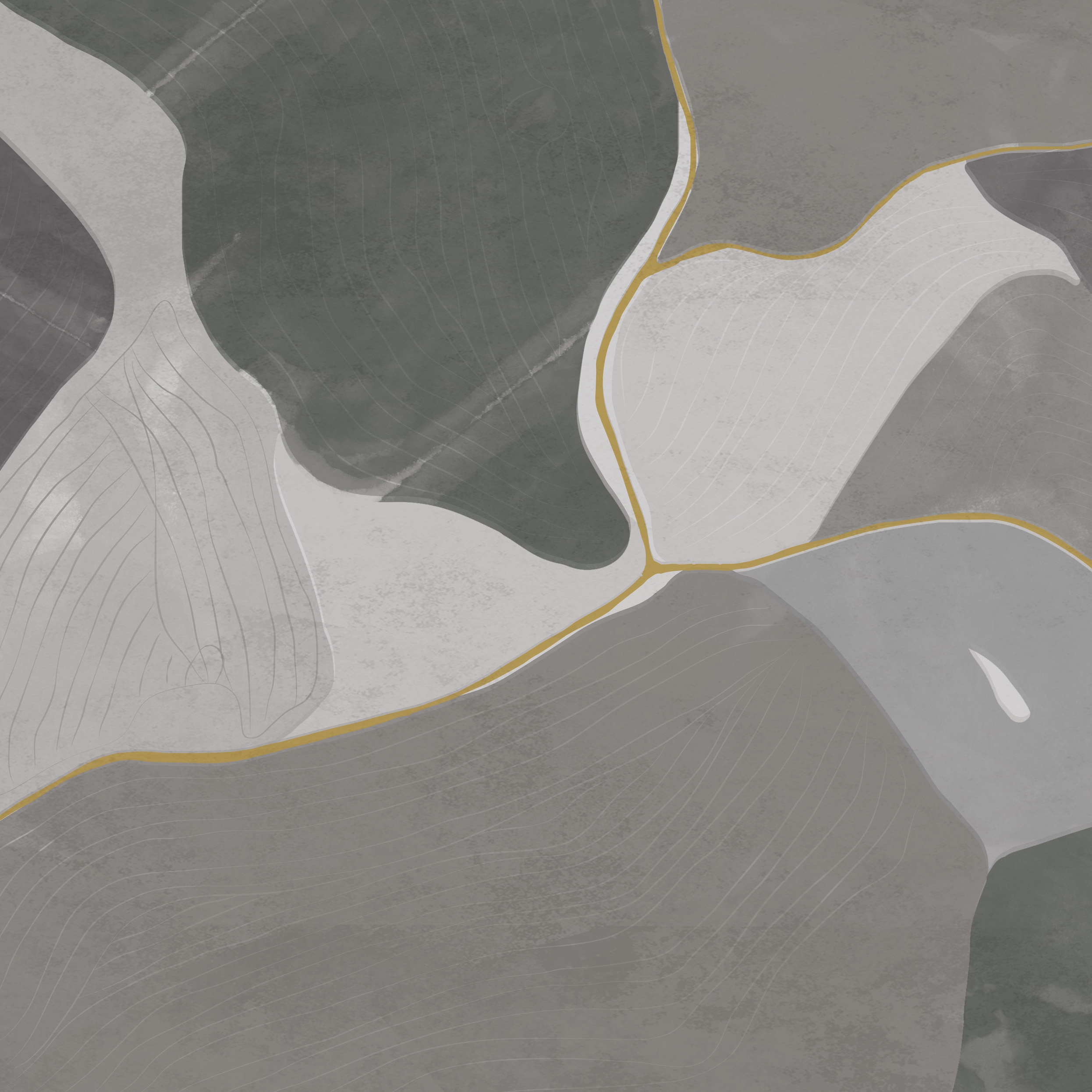 Birds Eye View | BV1.01.1 SH