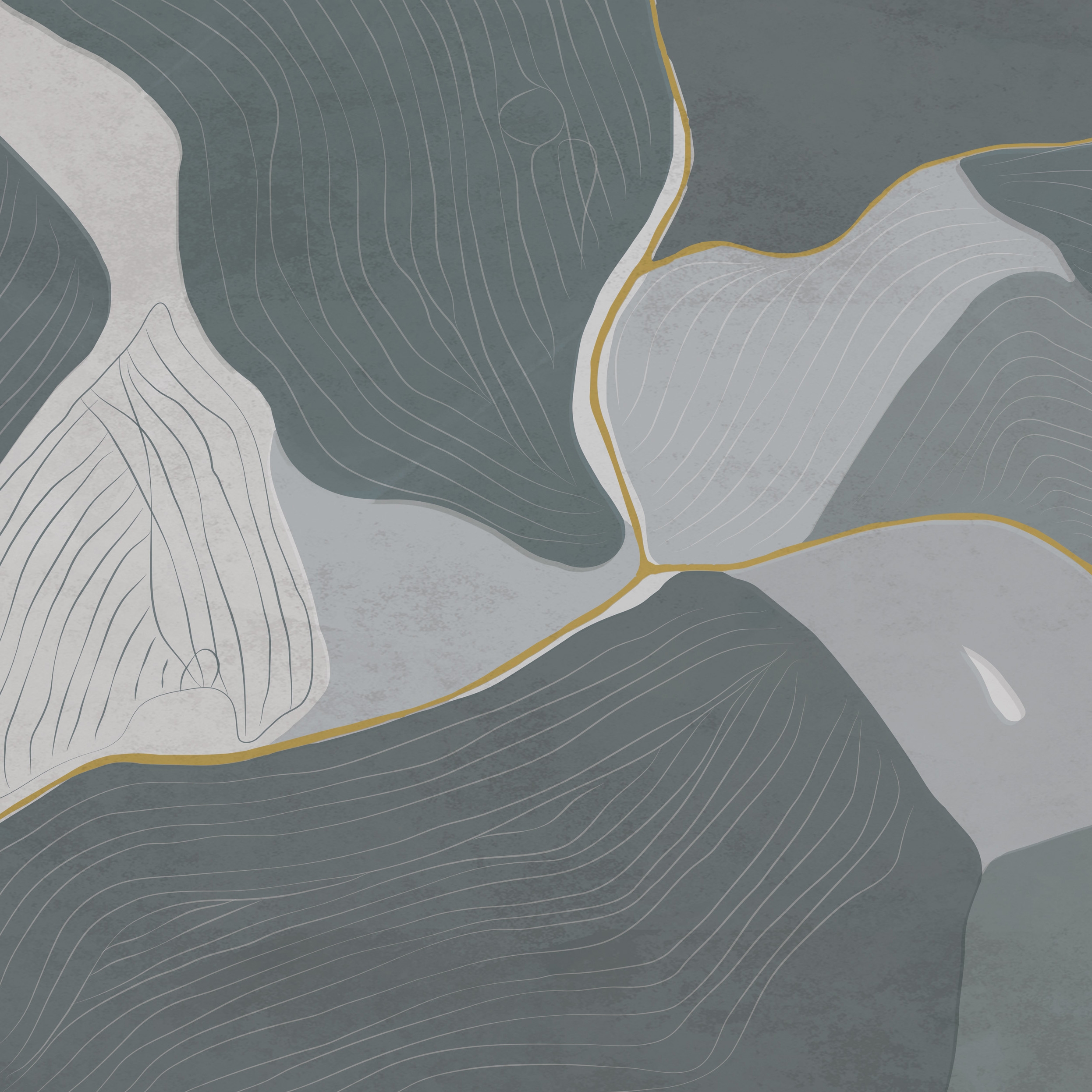 Birds Eye View | BV1.01.2 SH