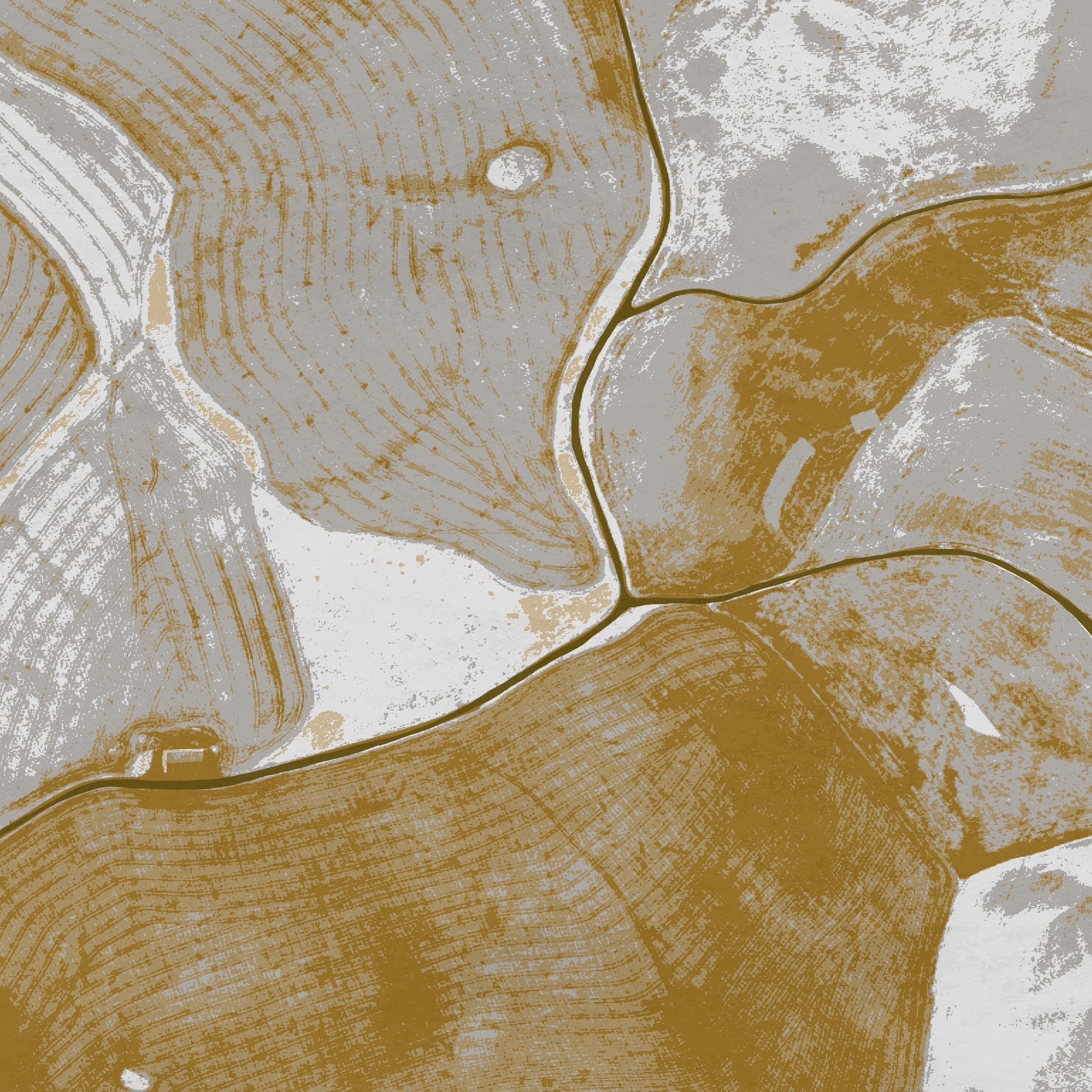 Birds Eye View | BV1.02.2 SH