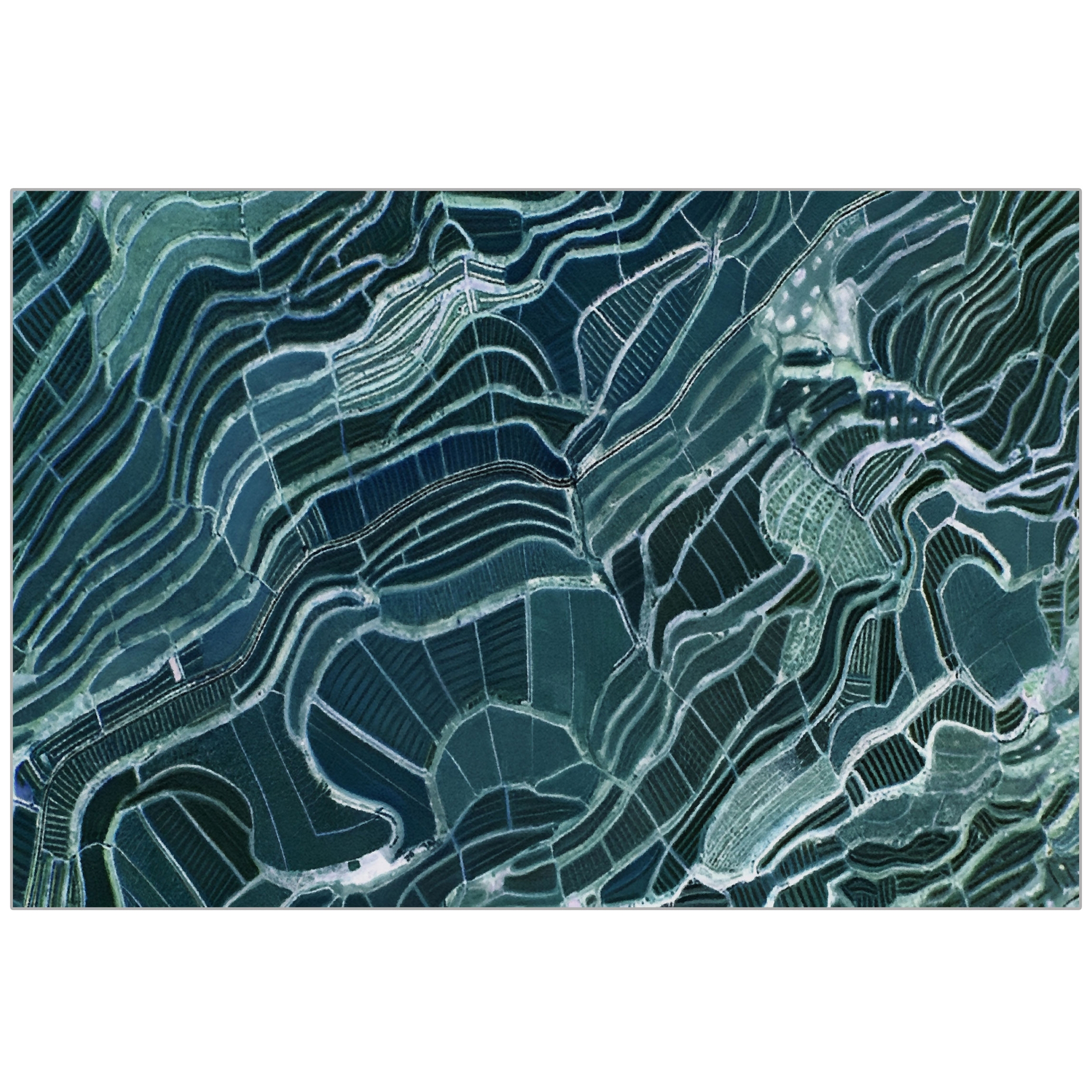 Produkt Taiga | TA3.01 | 200 x 300 cm des Herstellers YO2 anzeigen