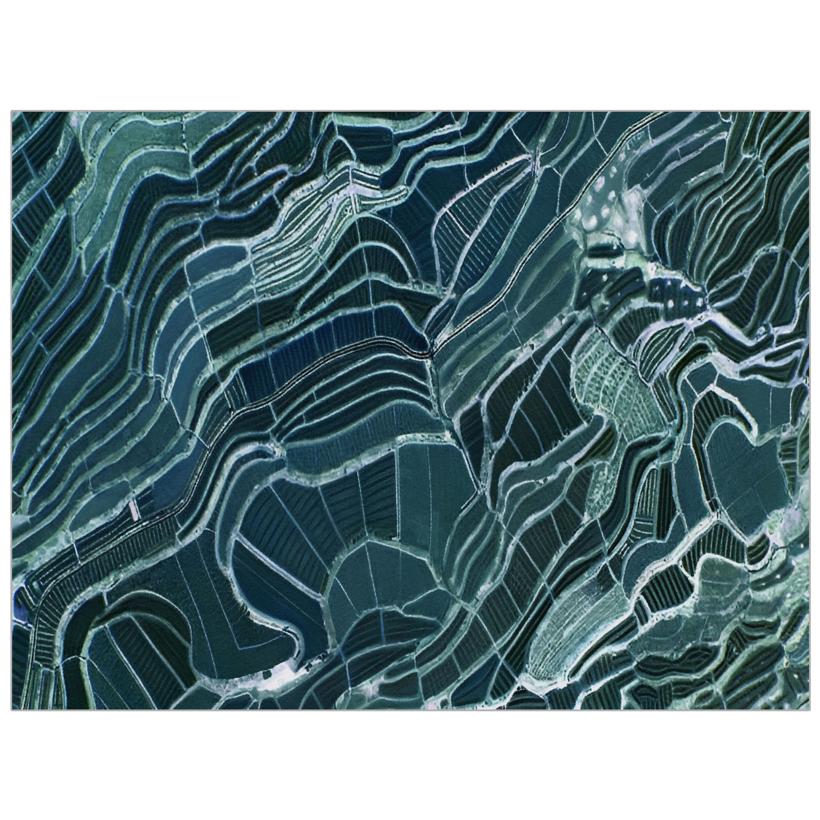Produkt Taiga | TA3.01 | 300 x 400 cm des Herstellers YO2 anzeigen