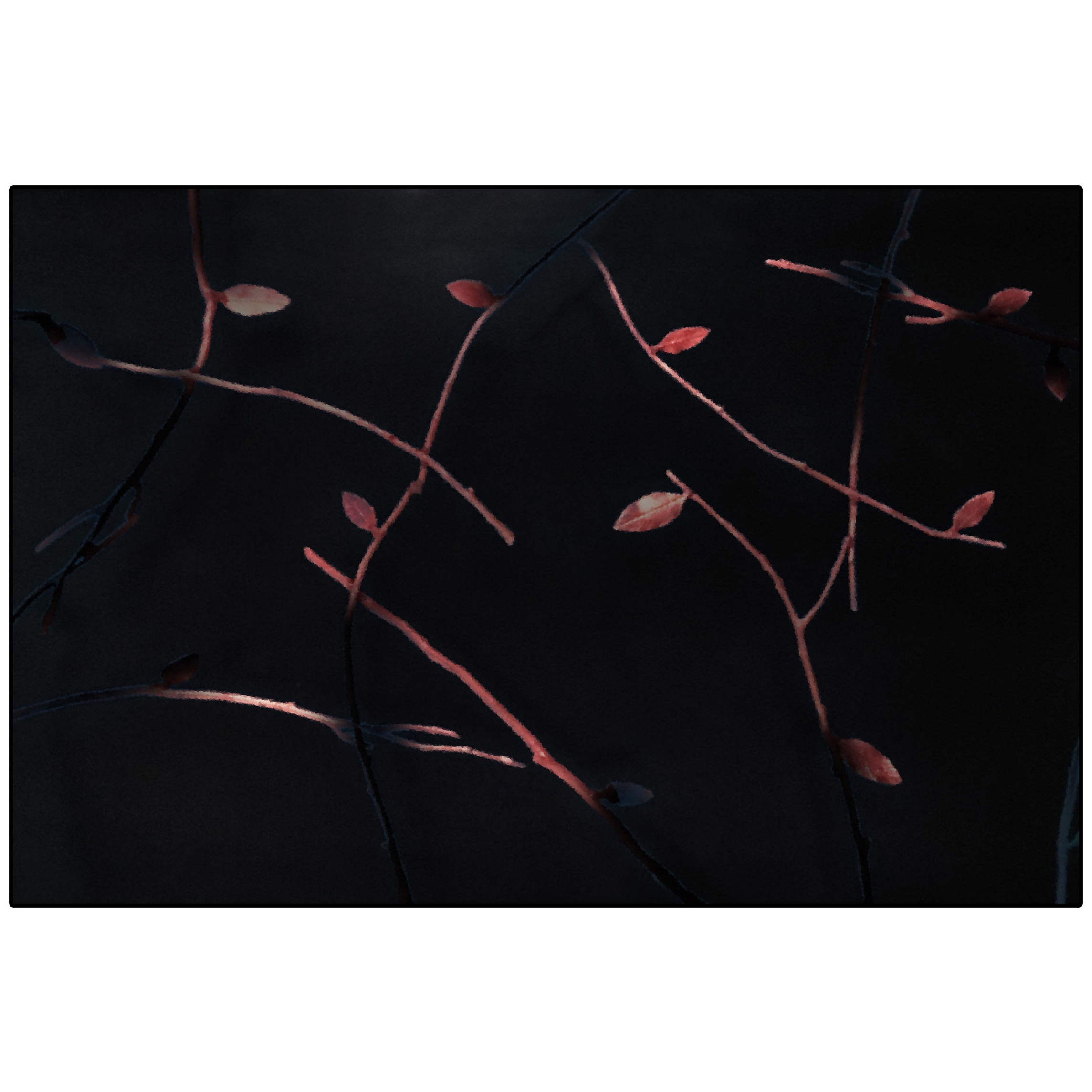 Elisio | EL3.01.3 | 200 x 300 cm