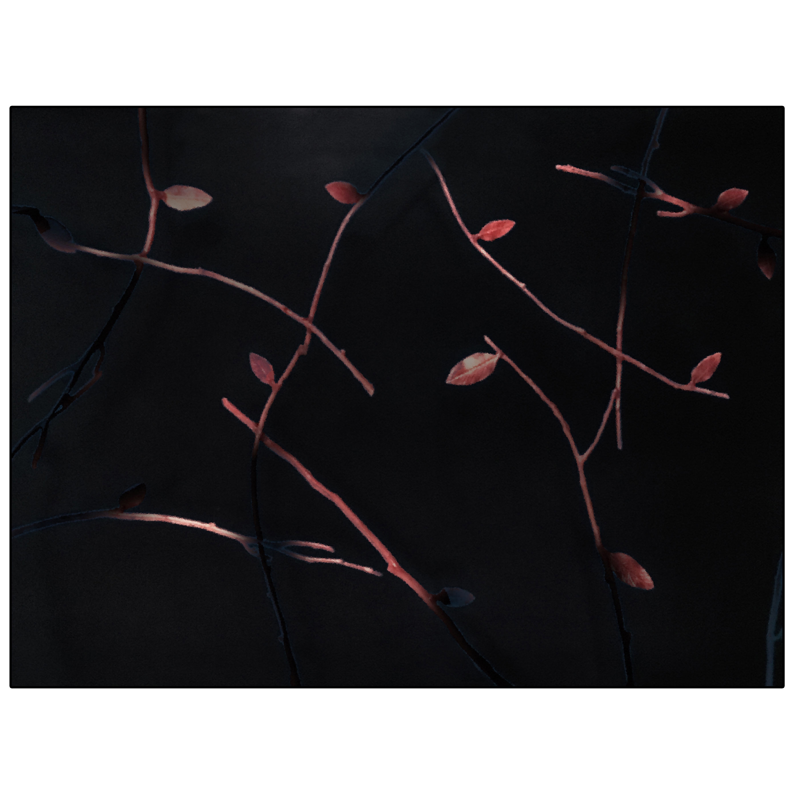 Elisio | EL3.01.3 | 300 x 400 cm