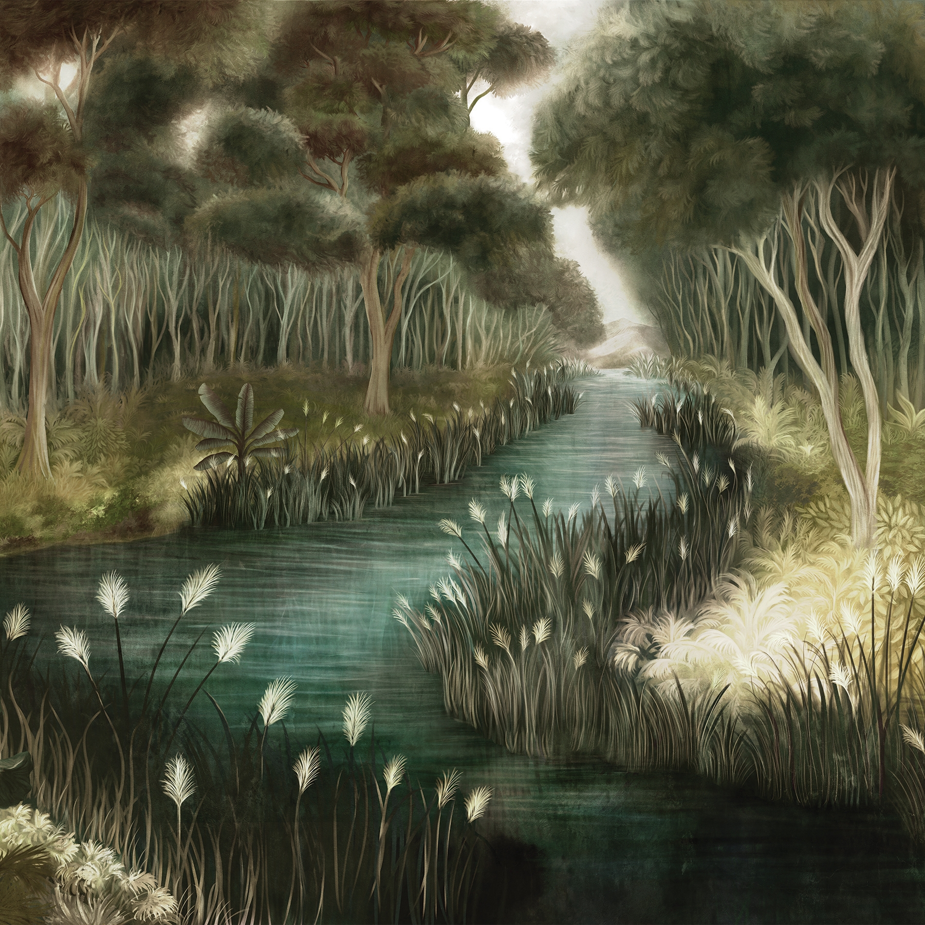 Rain Forest | IF1.05.1 FF