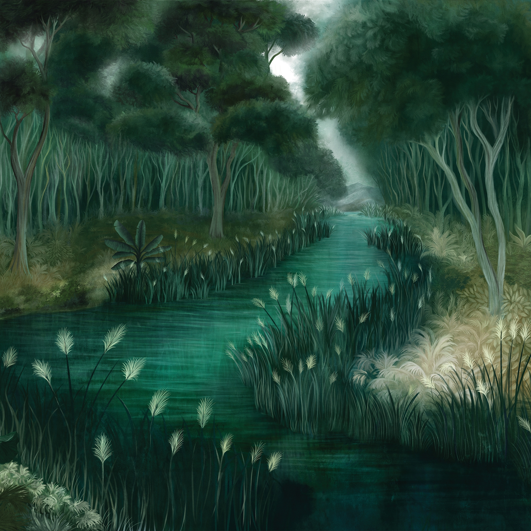 Rain Forest | IF1.05.2 FF