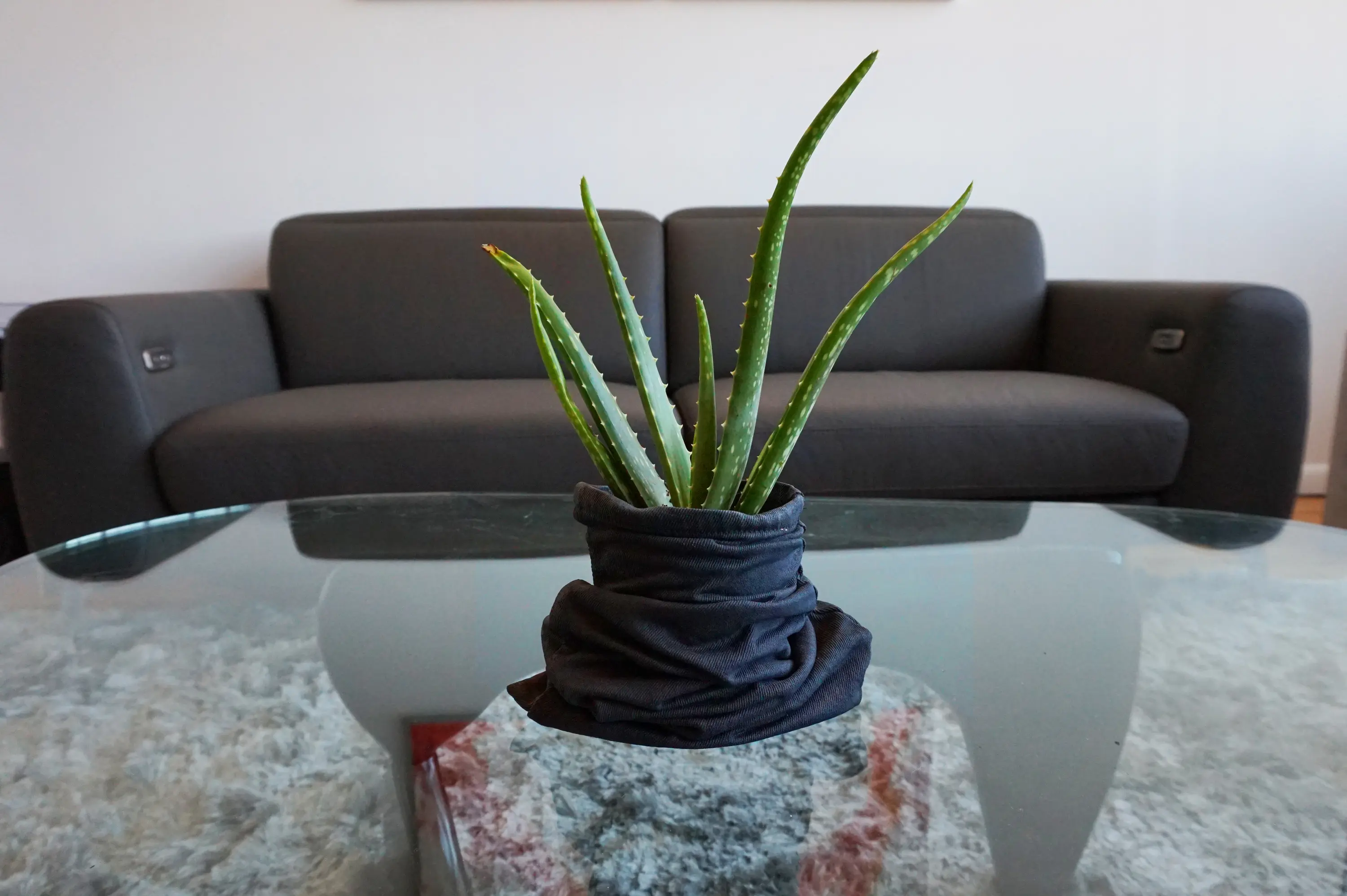 Thislexik - Worn Planter