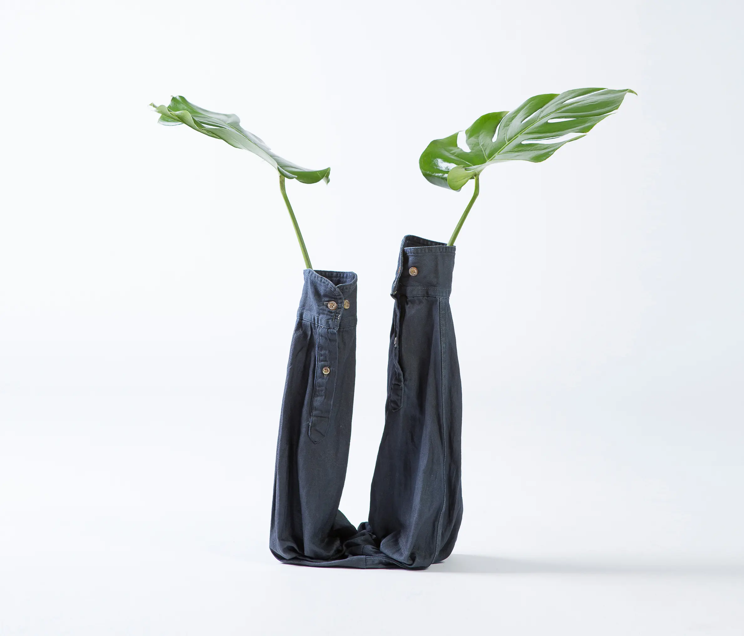 Thislexik - Double Worn Sleeve