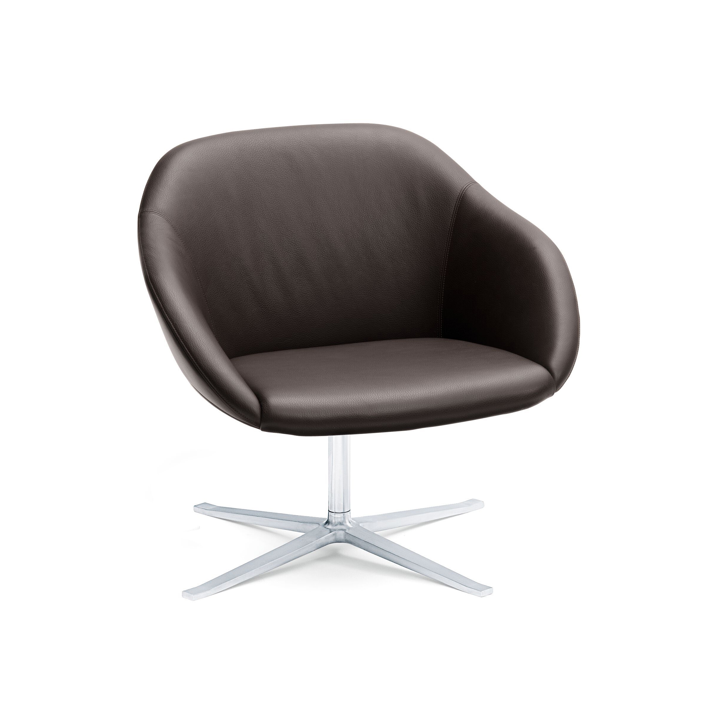 Mostra il prodotto Turtle Lounge Armchair del produttore Walter K.