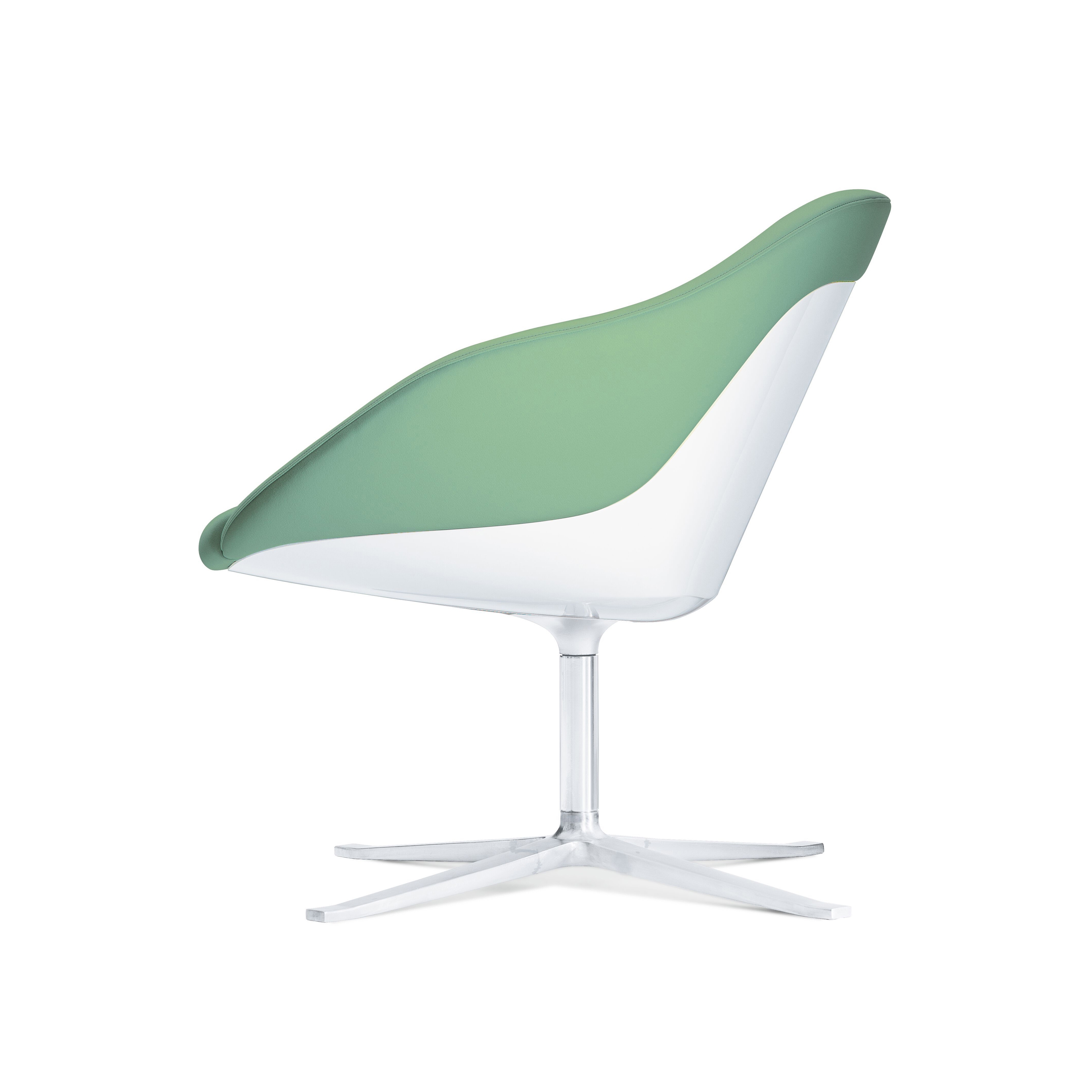 Display product Turtle Lounge Armchair from manufacturer Walter K.