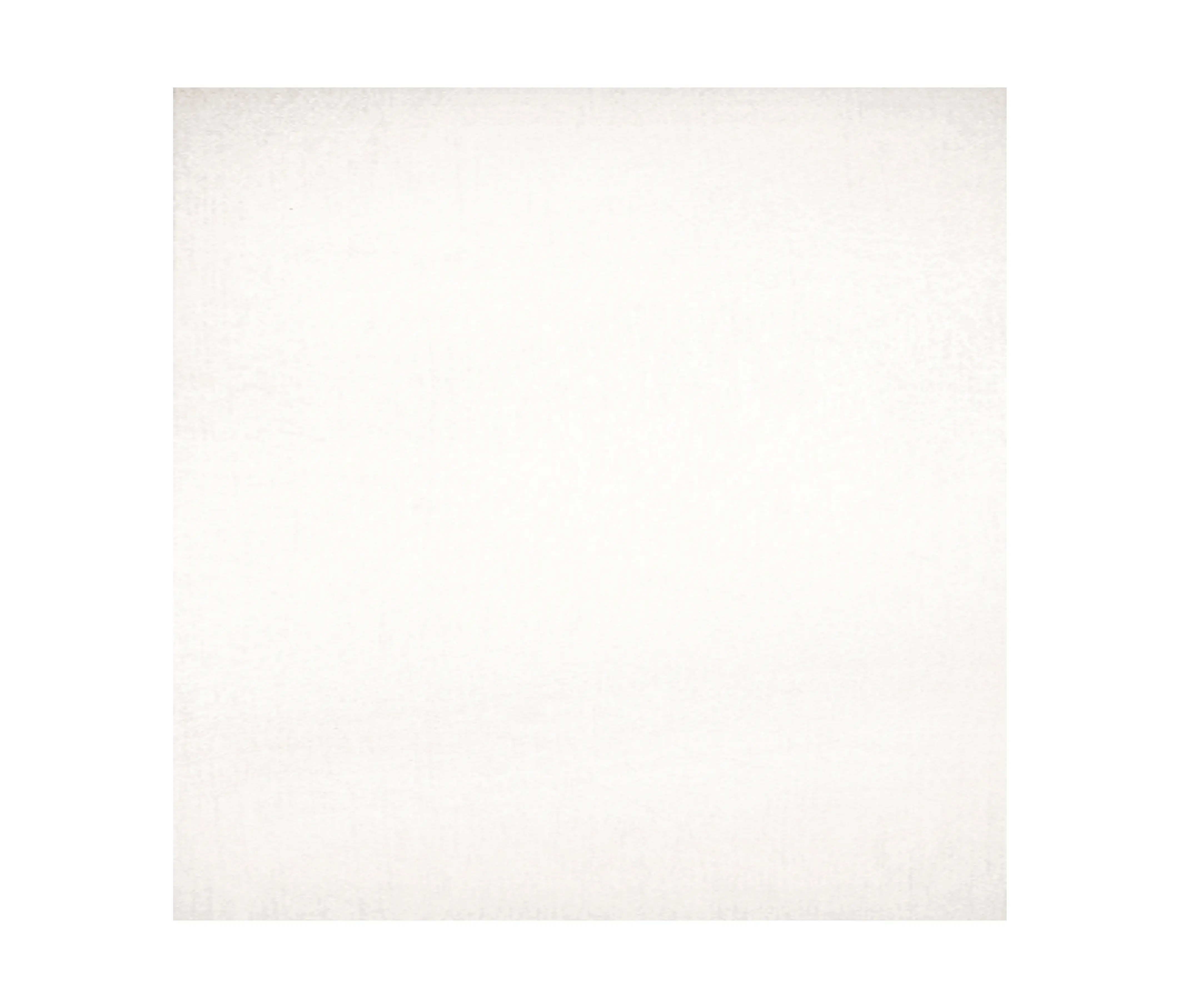 ALEA Experience - Artic white