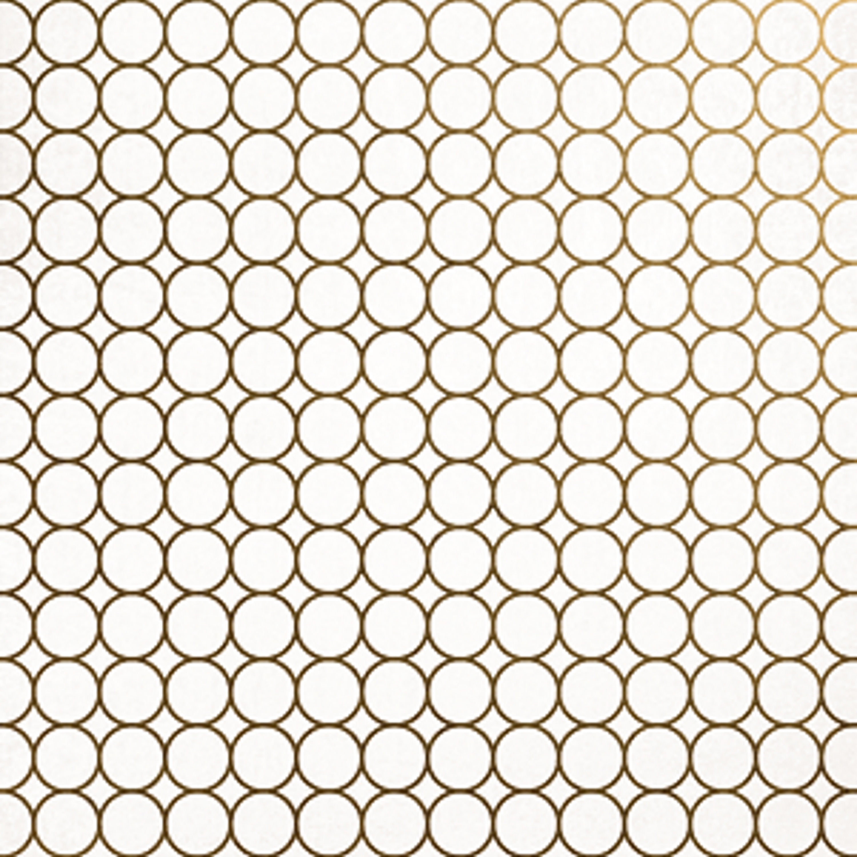 Mostrar el producto Artic white riings gold del fabricante ALEA Experience