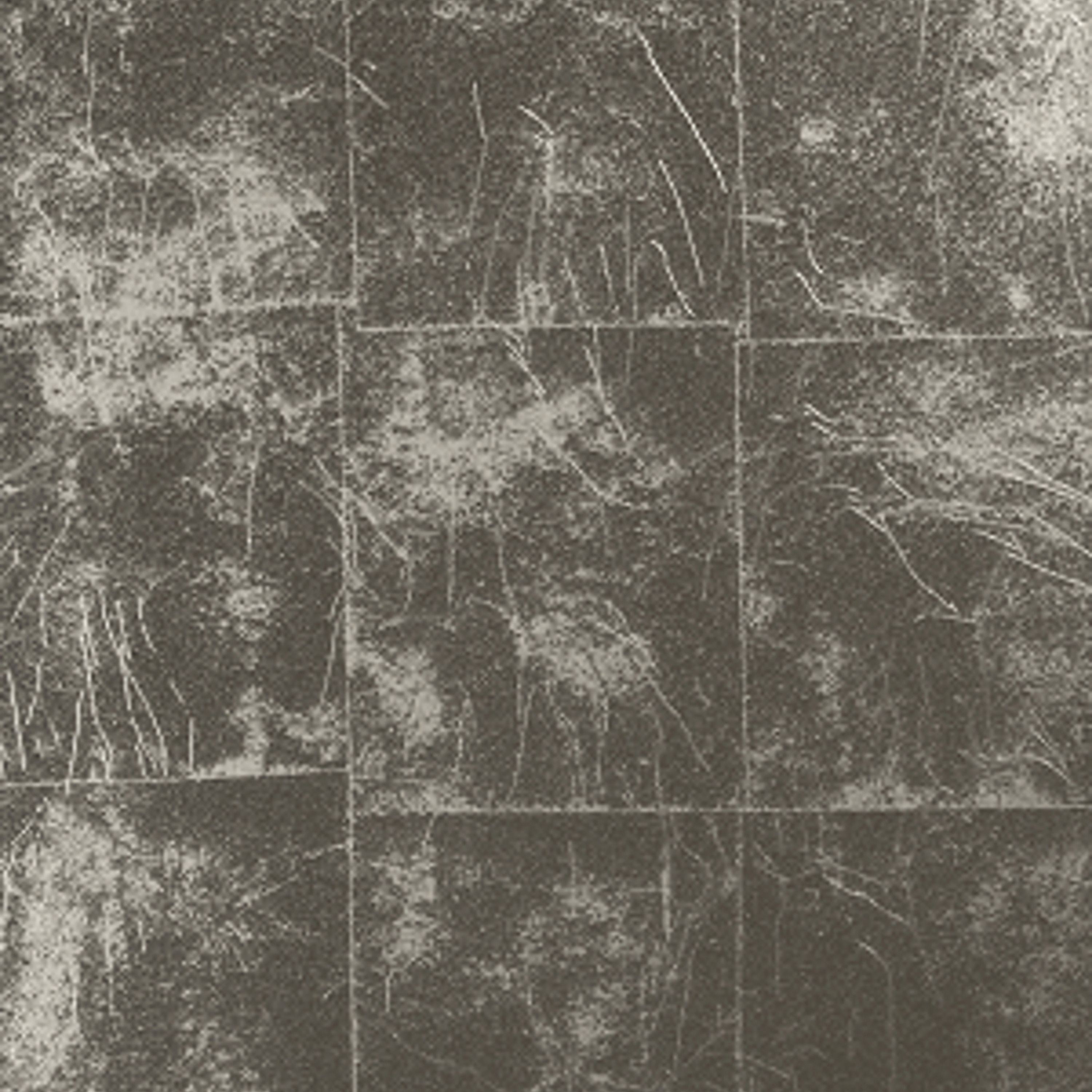 Mostrar el producto Patina silver del fabricante ALEA Experience