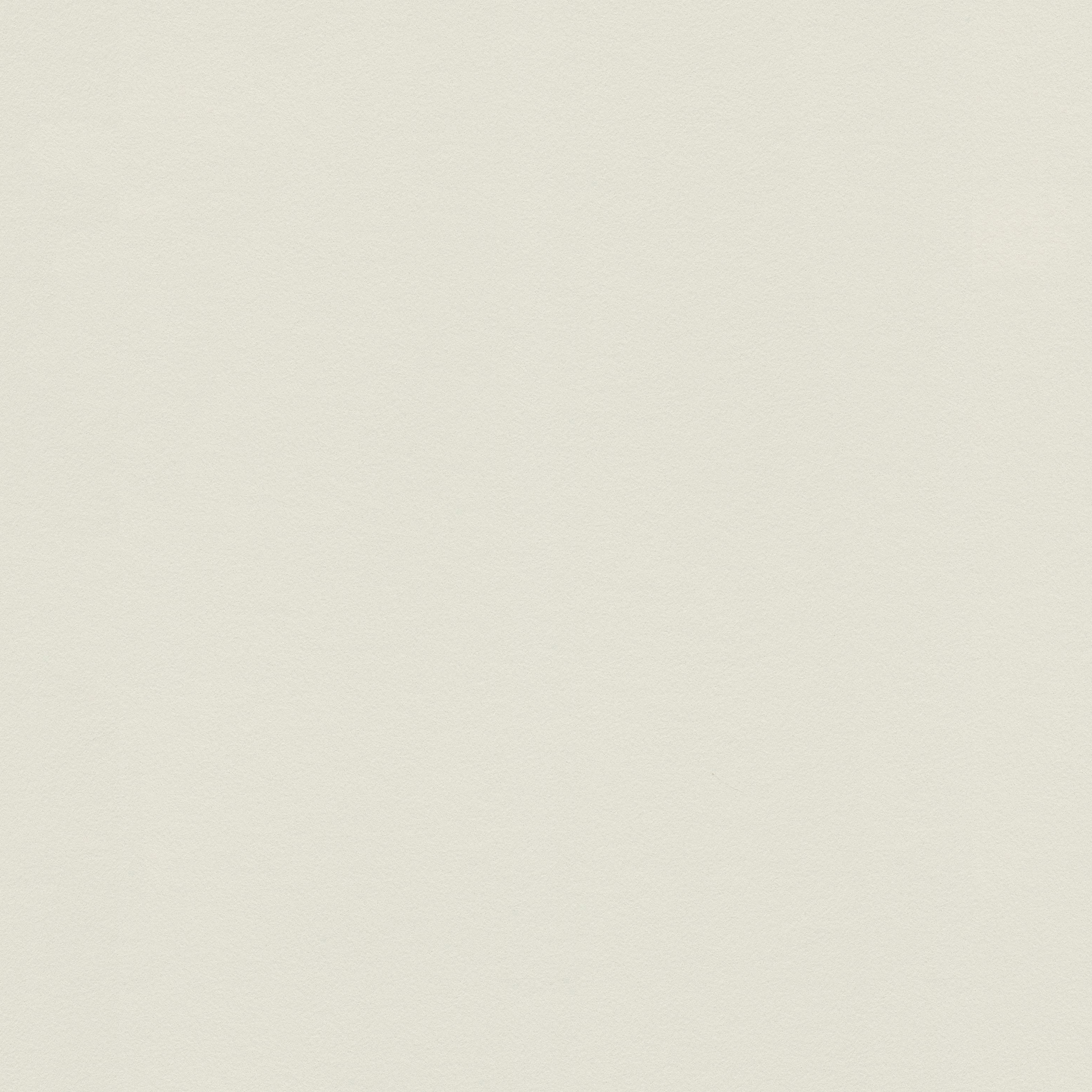 Display product Bauhaus 325874 from manufacturer Rasch Contract