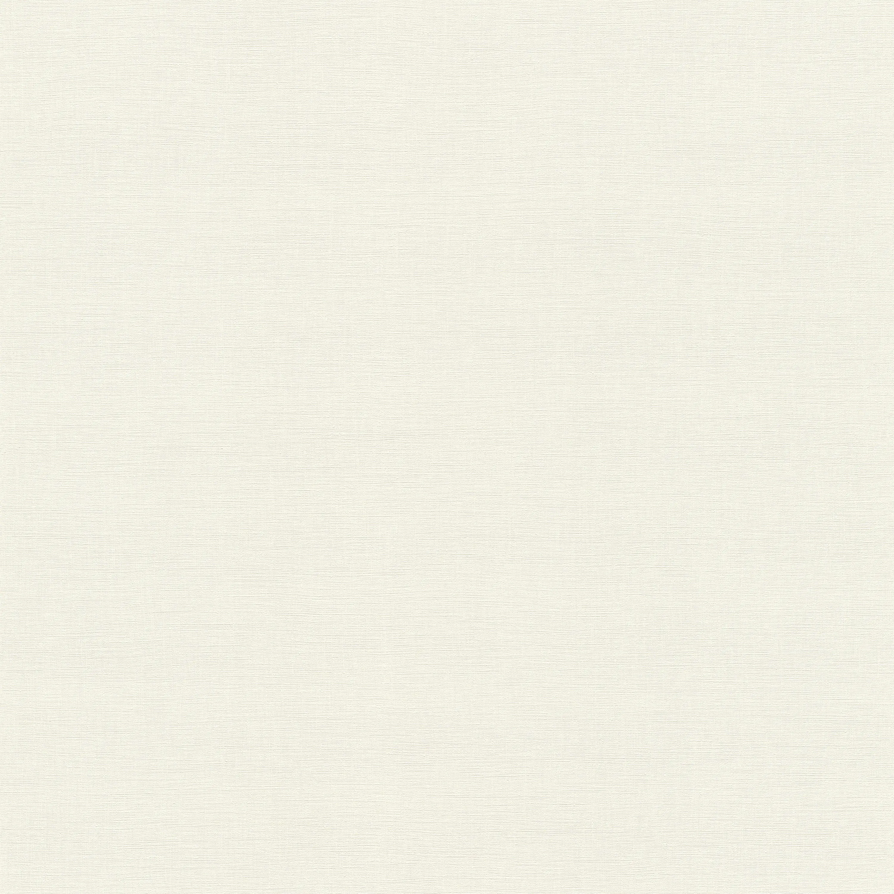 Rasch Contract - Amazing 531305