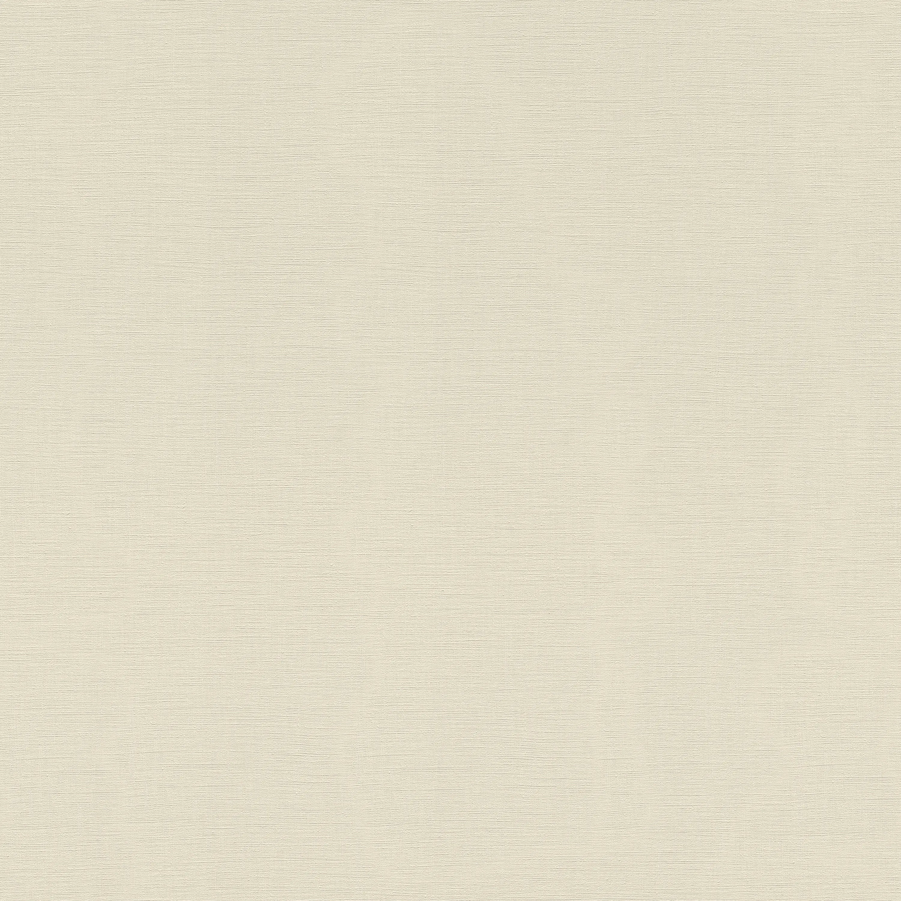 Rasch Contract - Amazing 531329