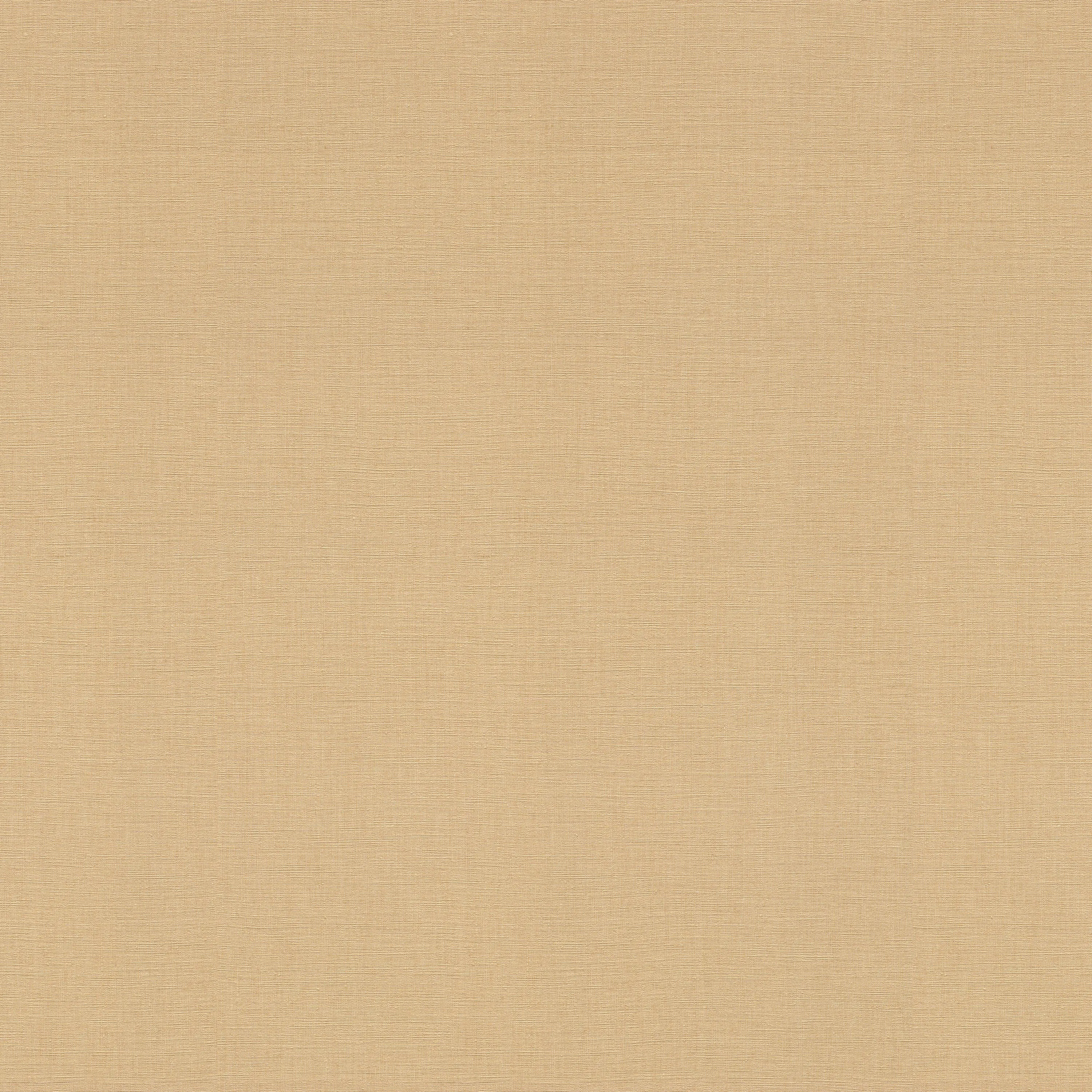 Rasch Contract - Amazing 531367
