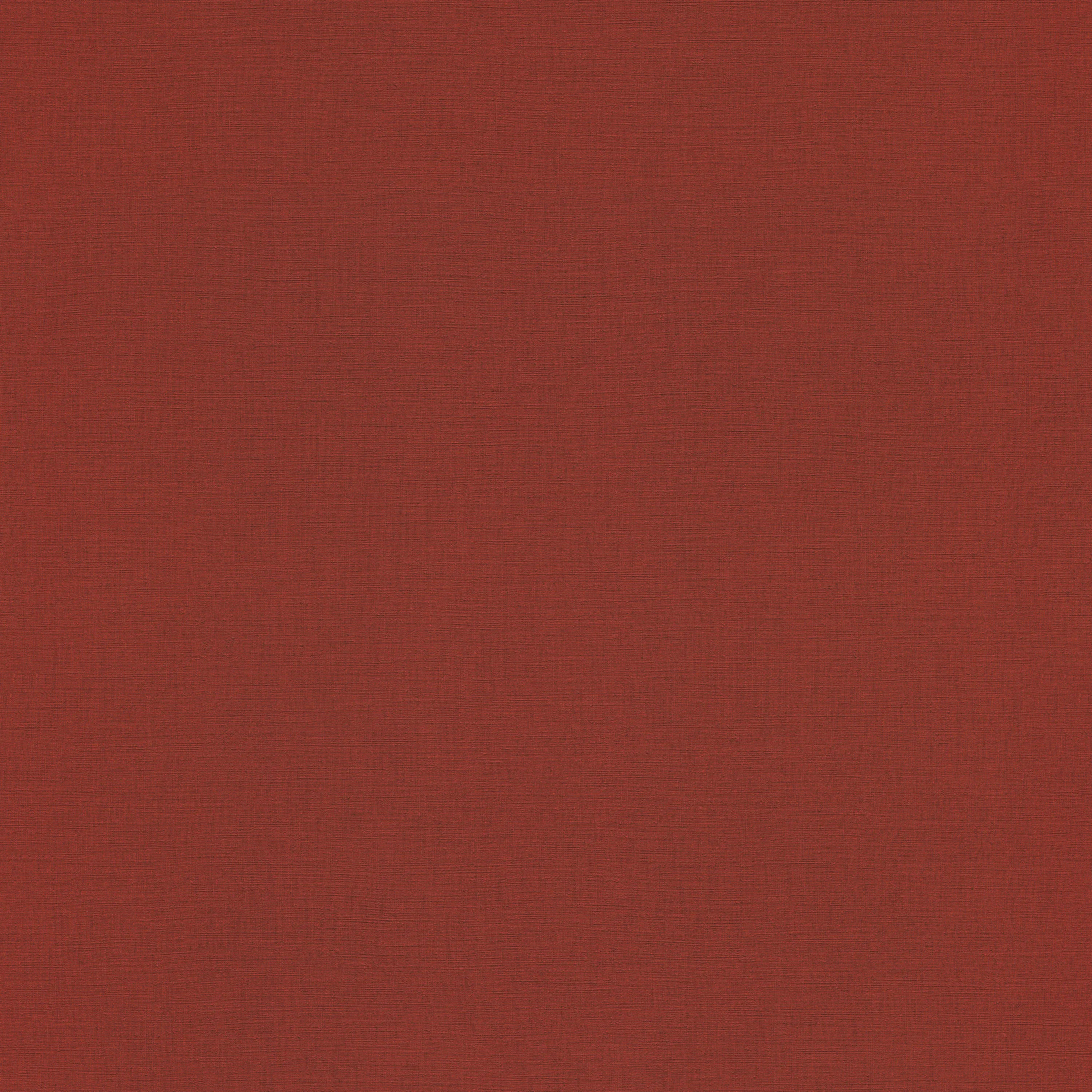 Rasch Contract - Amazing 531374
