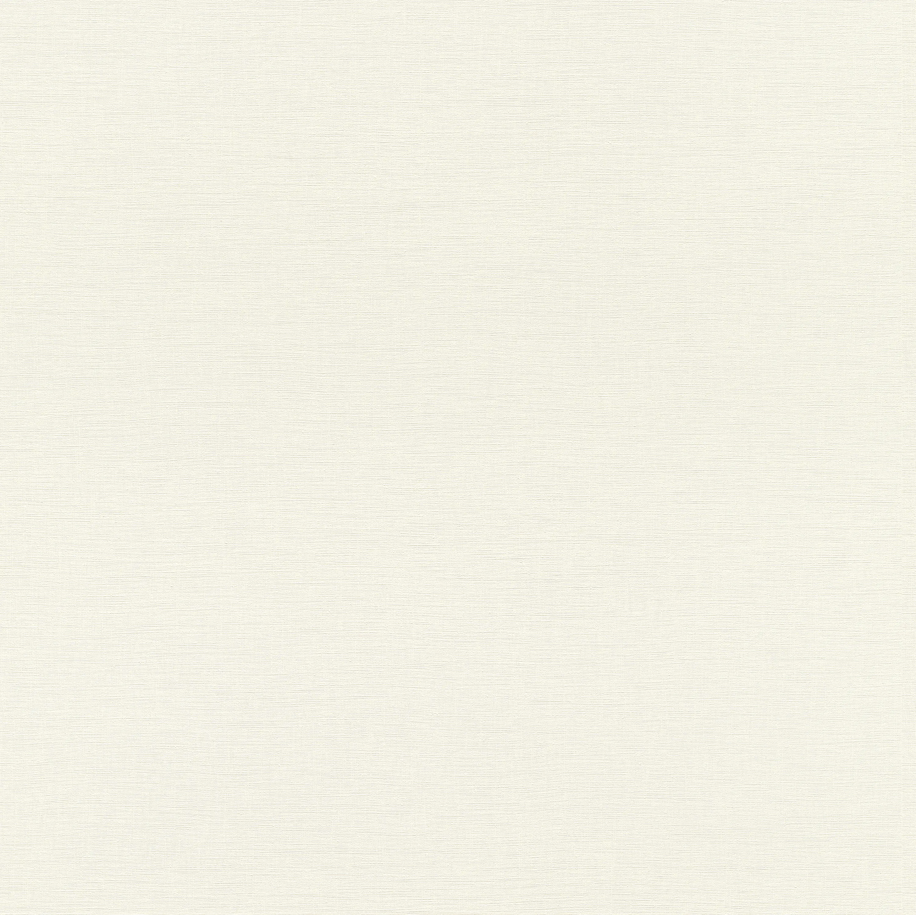 Rasch Contract - Amazing 531404