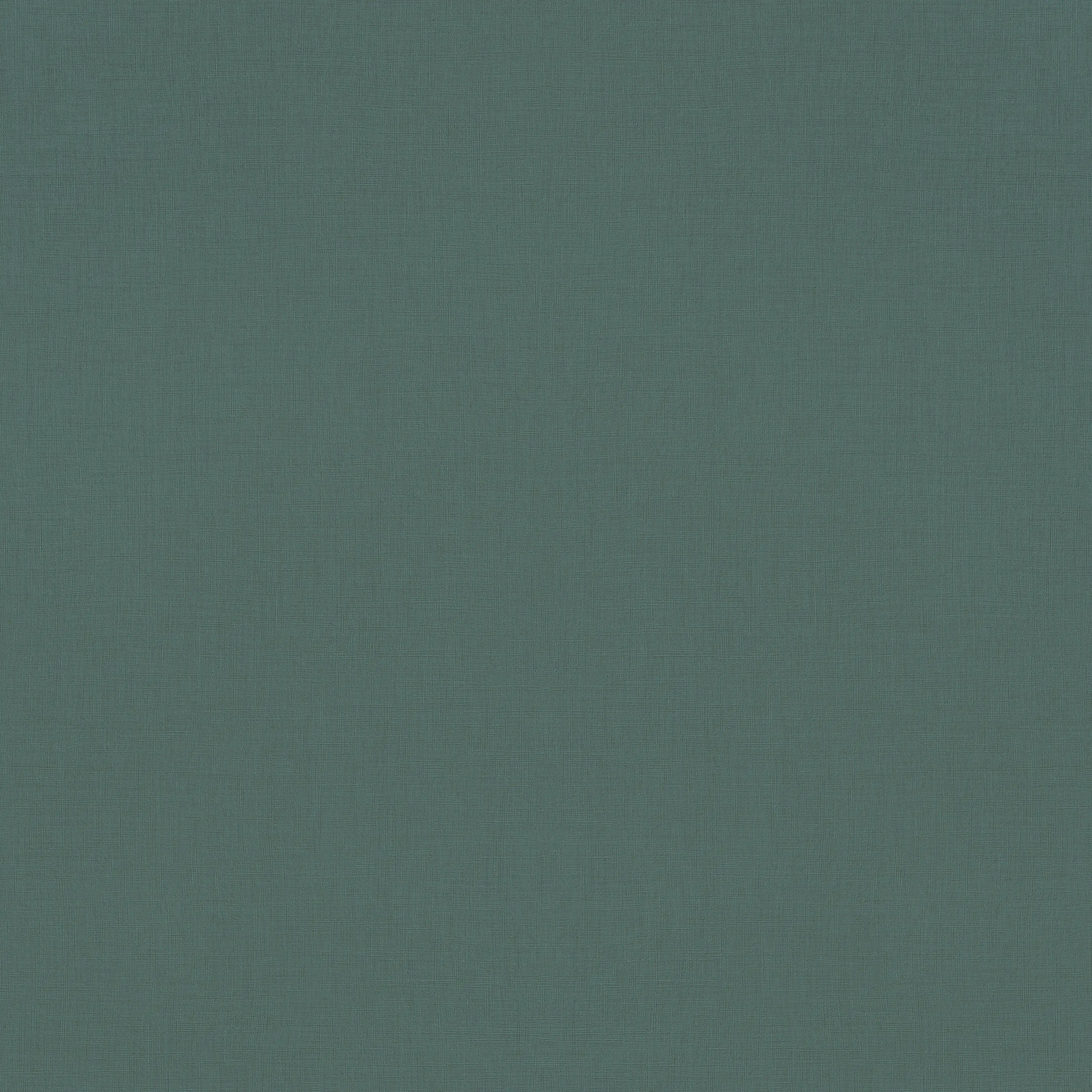 Rasch Contract - Amazing 531459