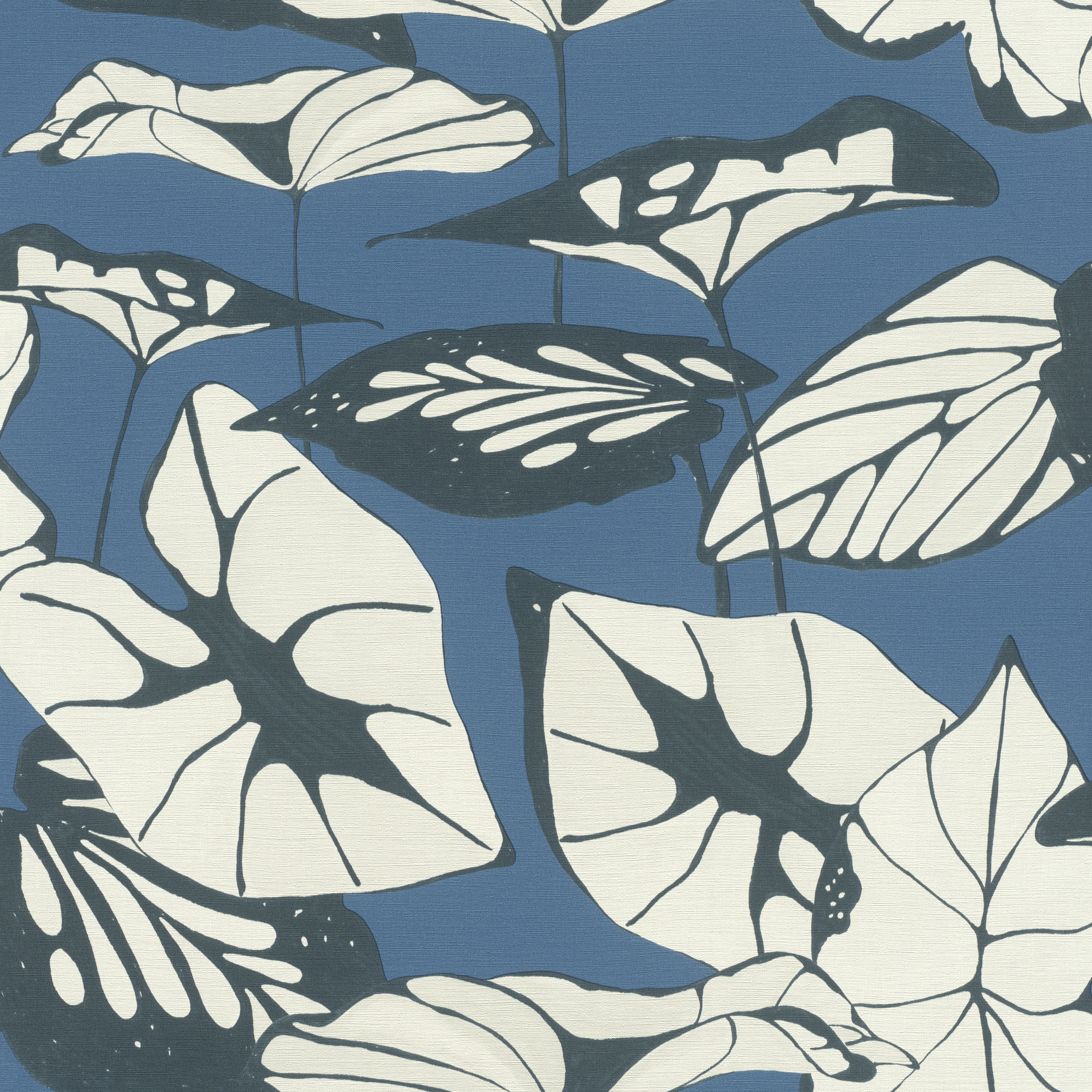 Amazing 539653