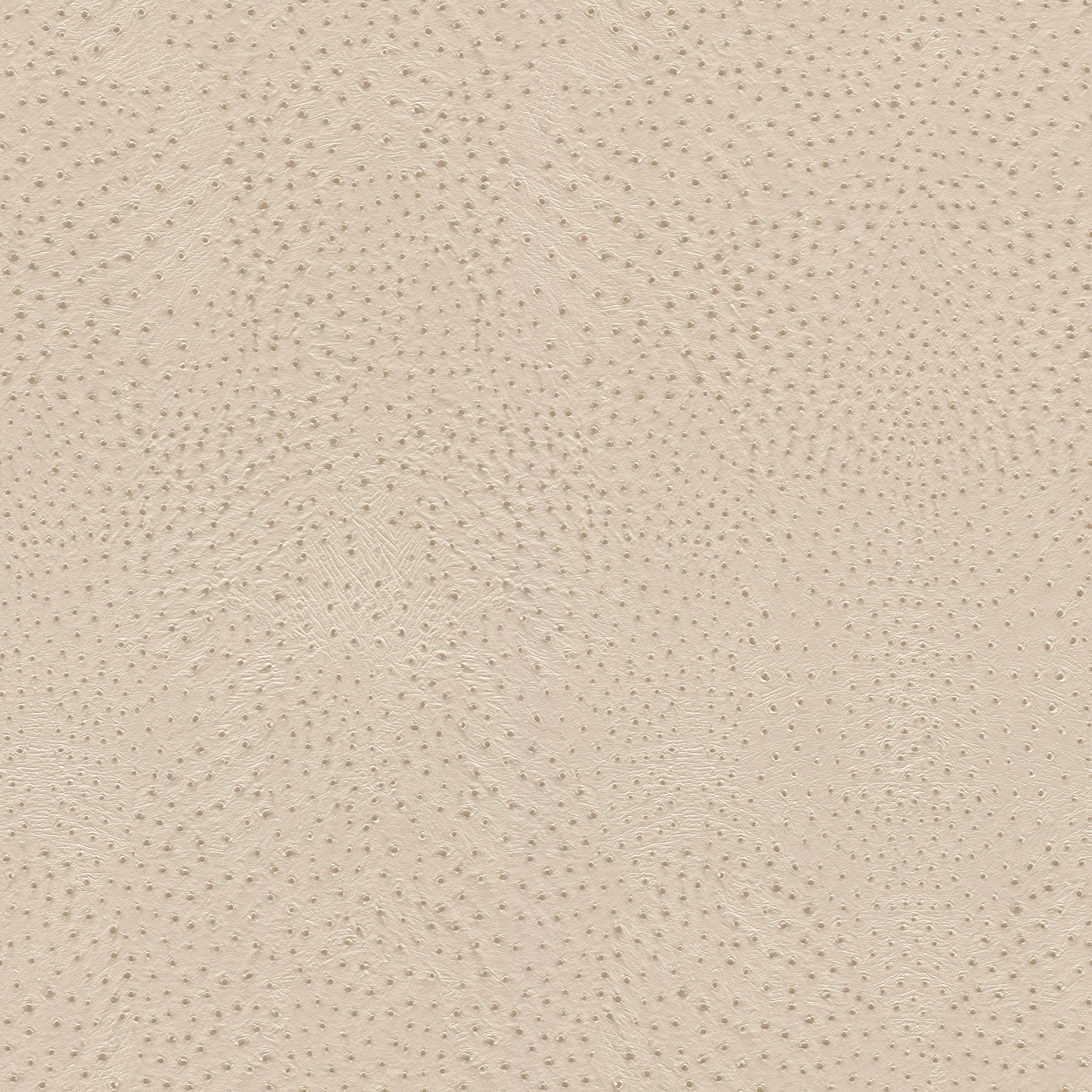 Display product African Queen III 751512 from manufacturer Rasch Contract