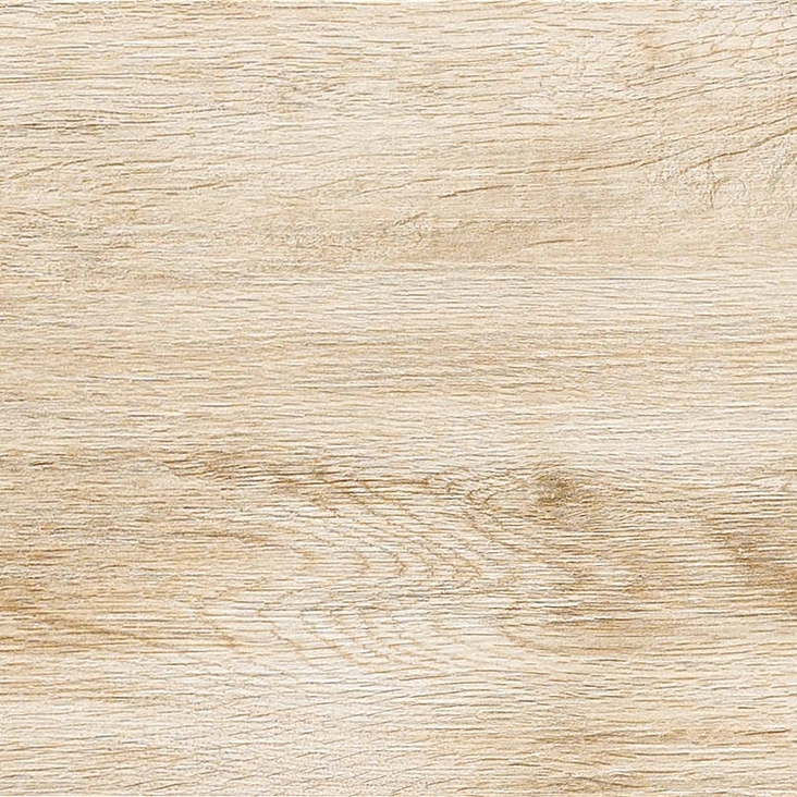 Focus Ivory