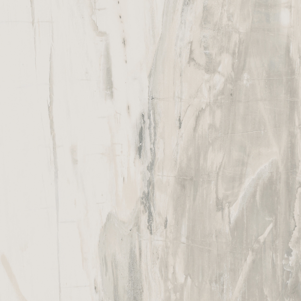 Petrified Wood White