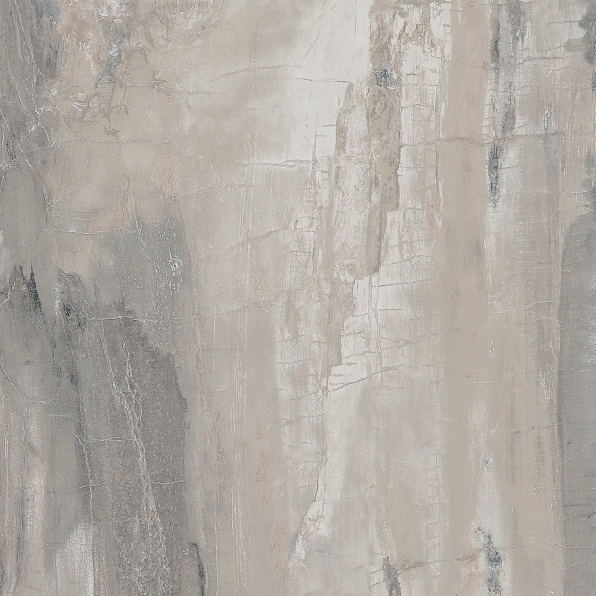 Petrified Wood Grey