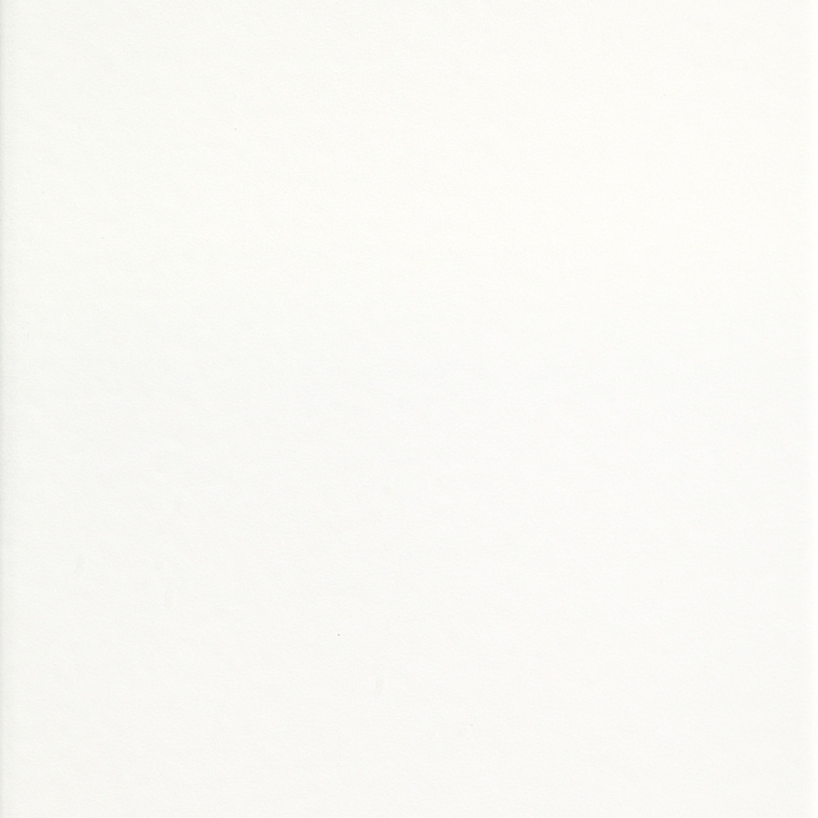 England Bianco