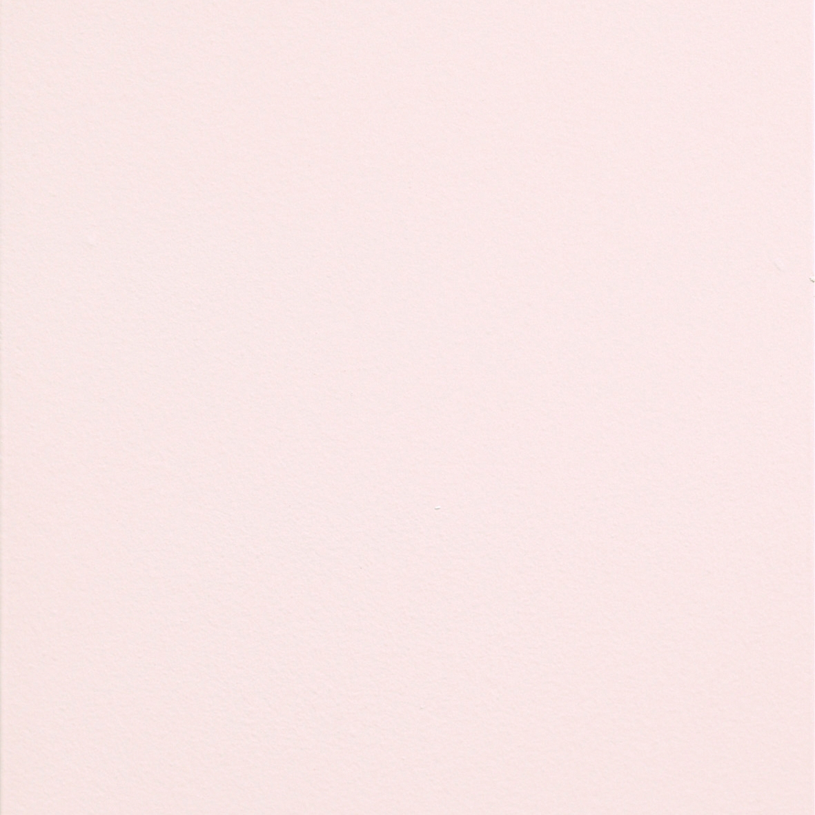 England Rosa