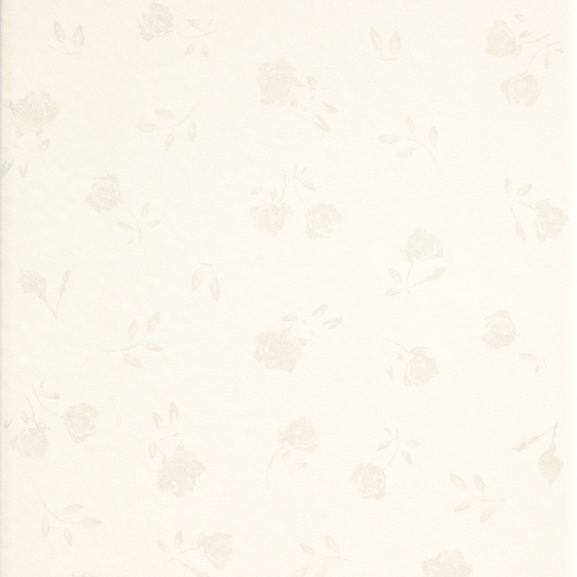 England Beige Romantico