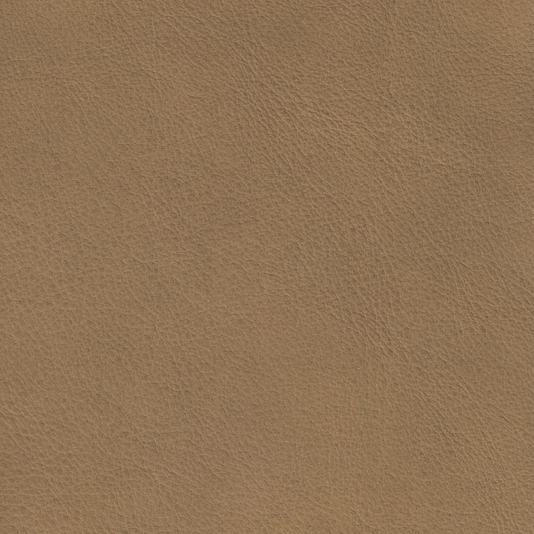COUNT PRESTIGE 14163 Sandstone