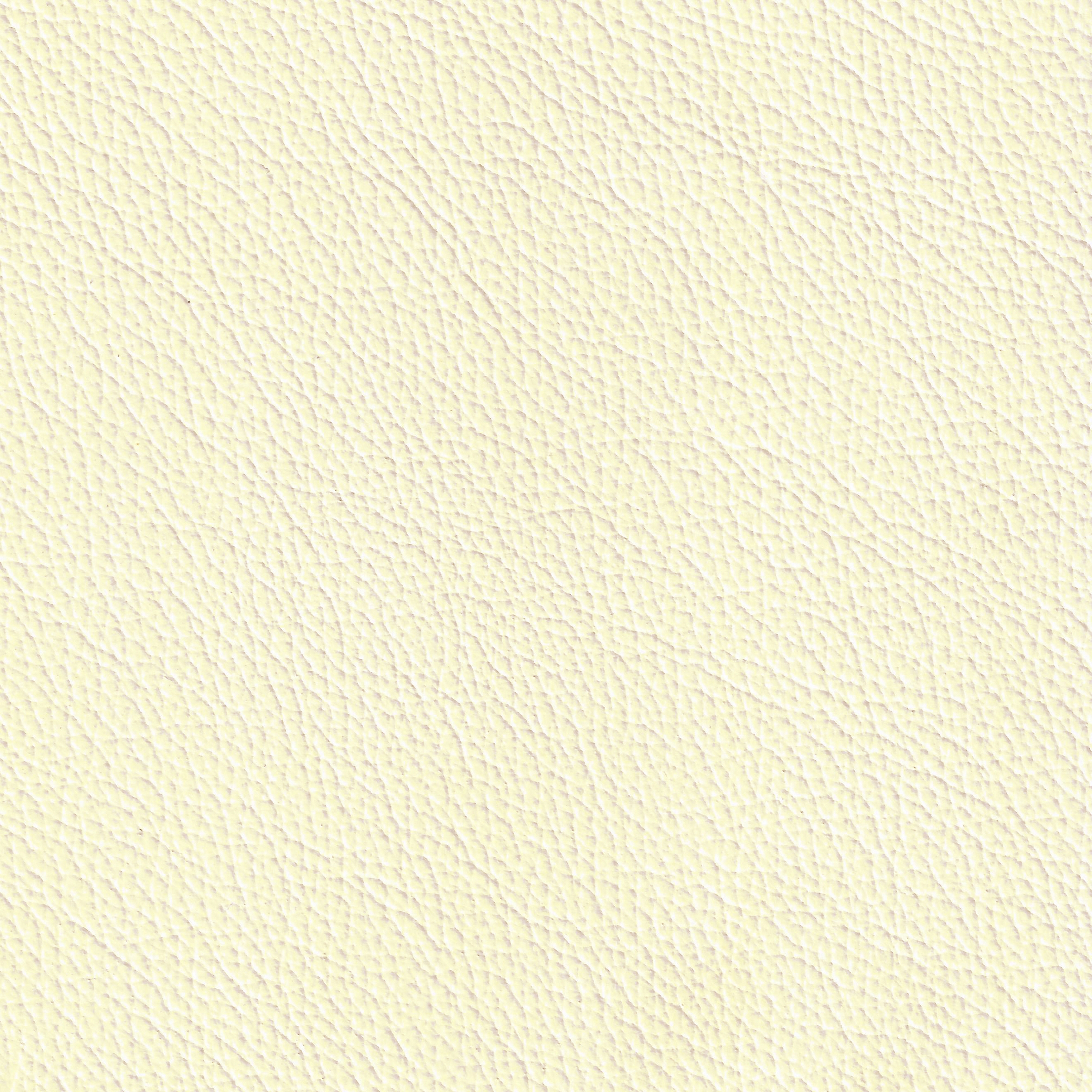 ROYAL 19124 Arctic