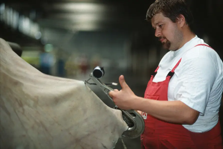 BOXMARK Leather GmbH & Co KG - Leather production