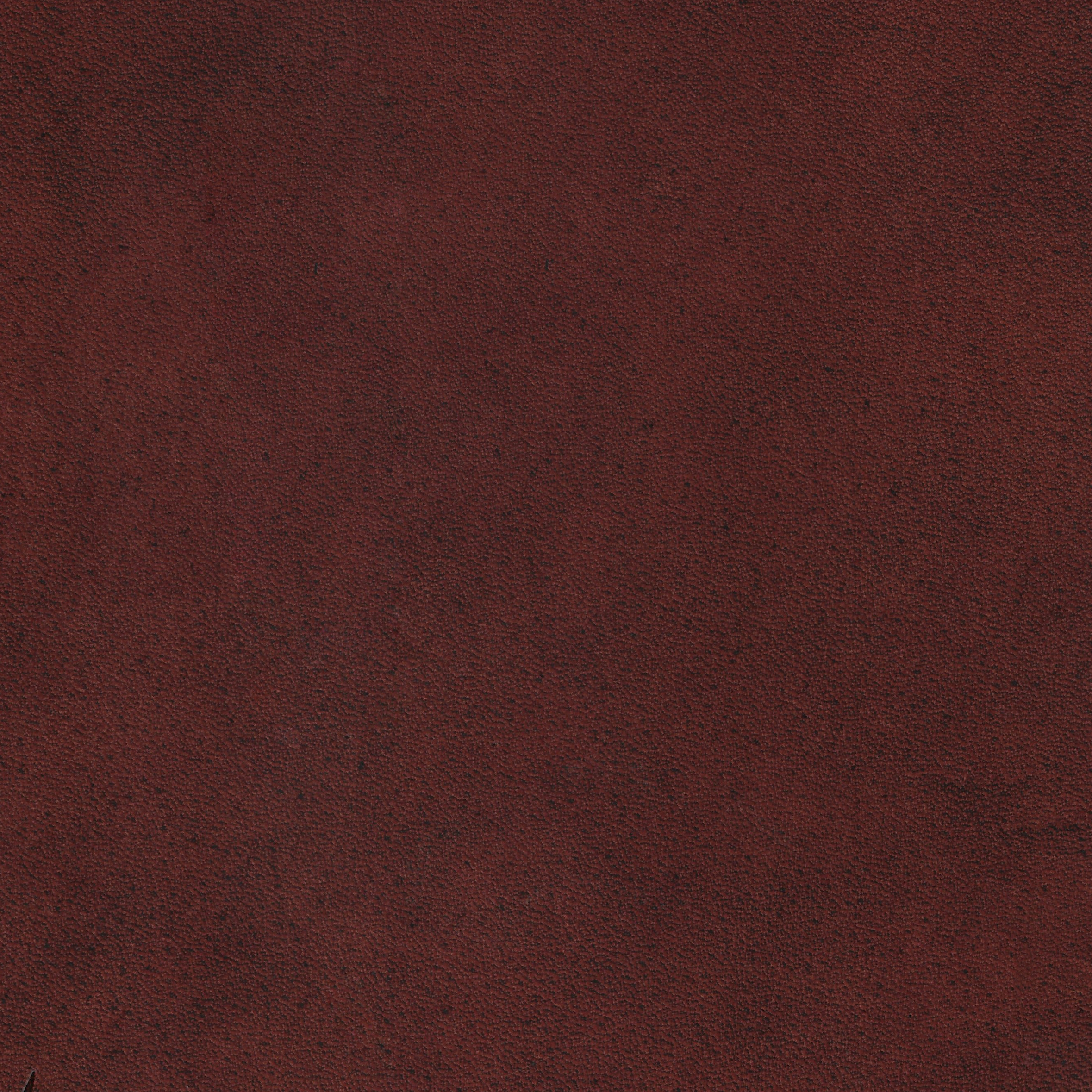SADDLE 80786 Chocolate