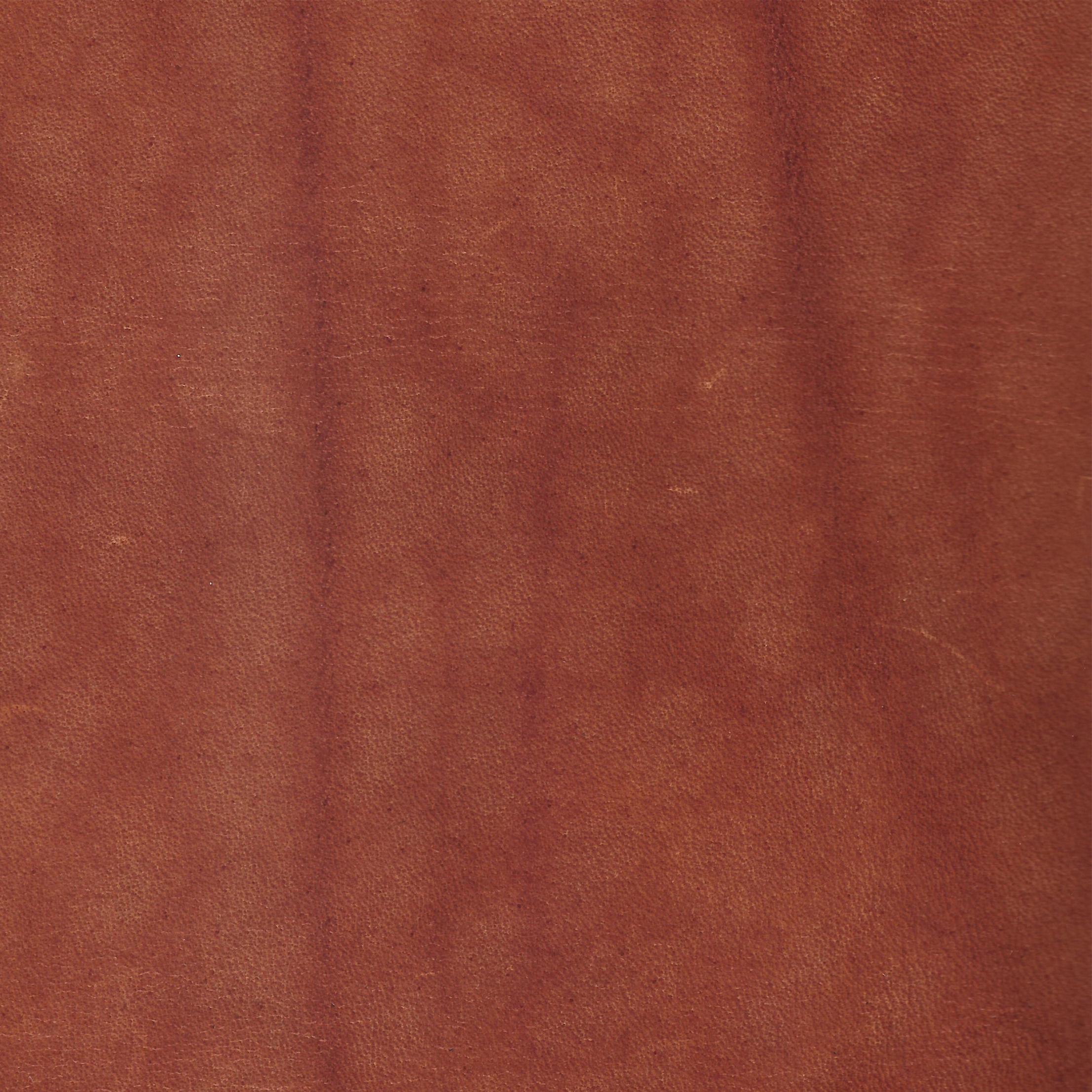 SADDLE 80788 Cognac