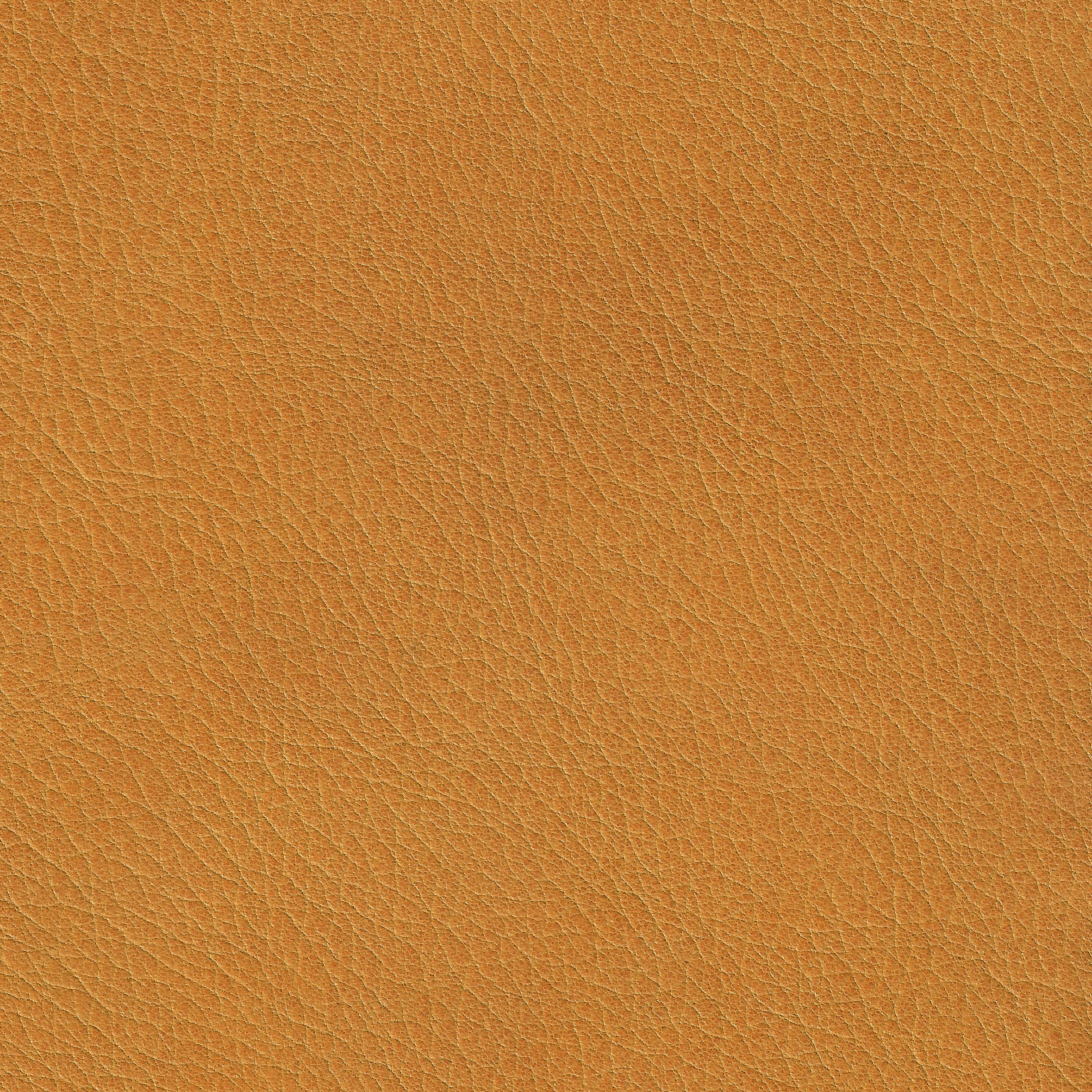 Mostra il prodotto X Green 27510 Tiger Lilli del produttore BOXMARK Leather GmbH & Co KG