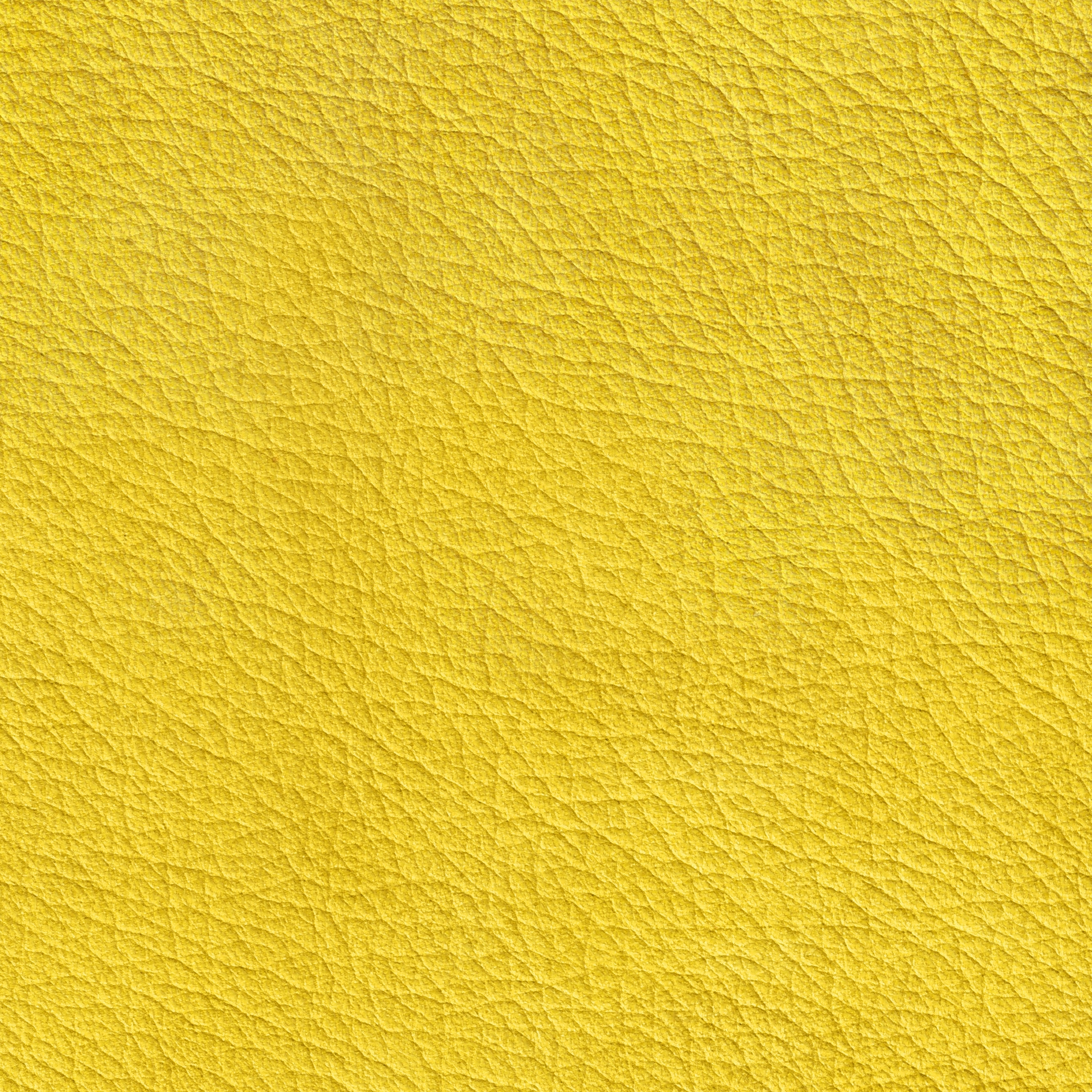 X Green 27560 Sunflower