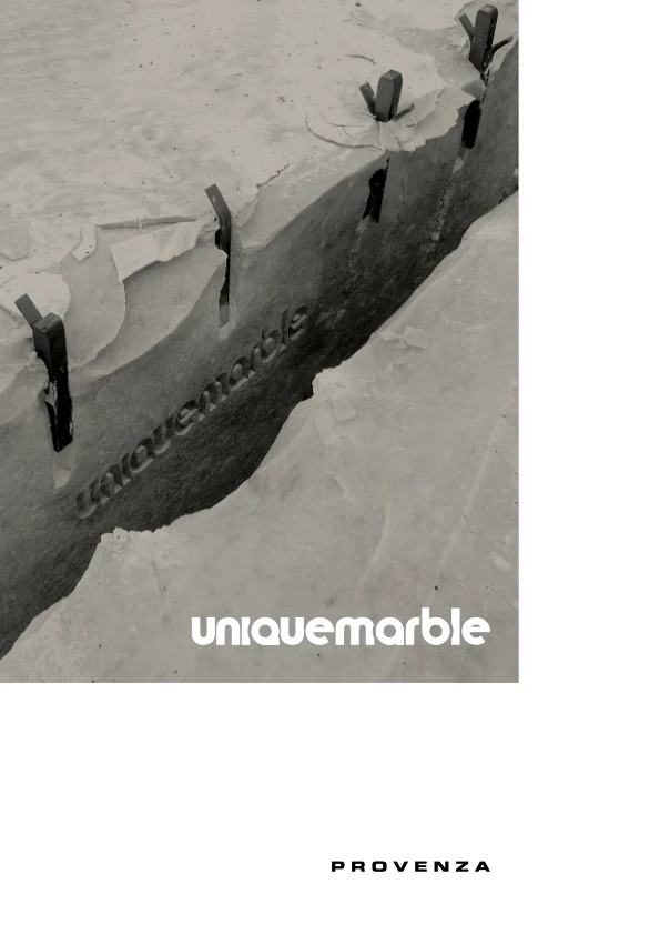 Immagine di anteprima del file Unique Marble