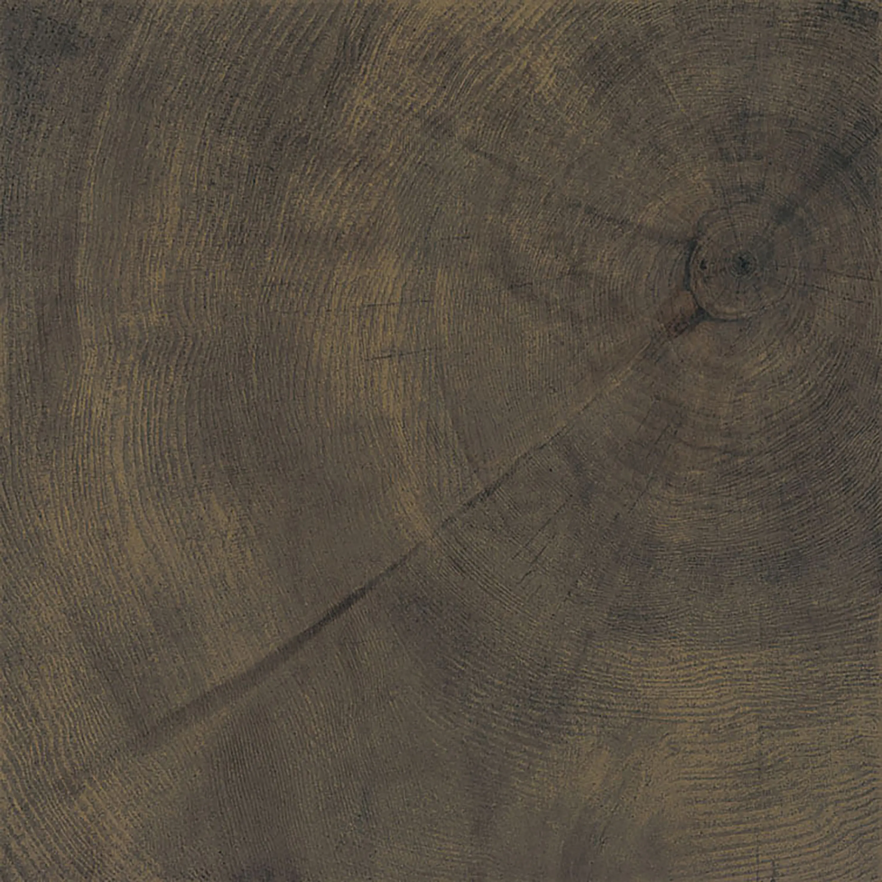 EMILGROUP - W-Age Cortex