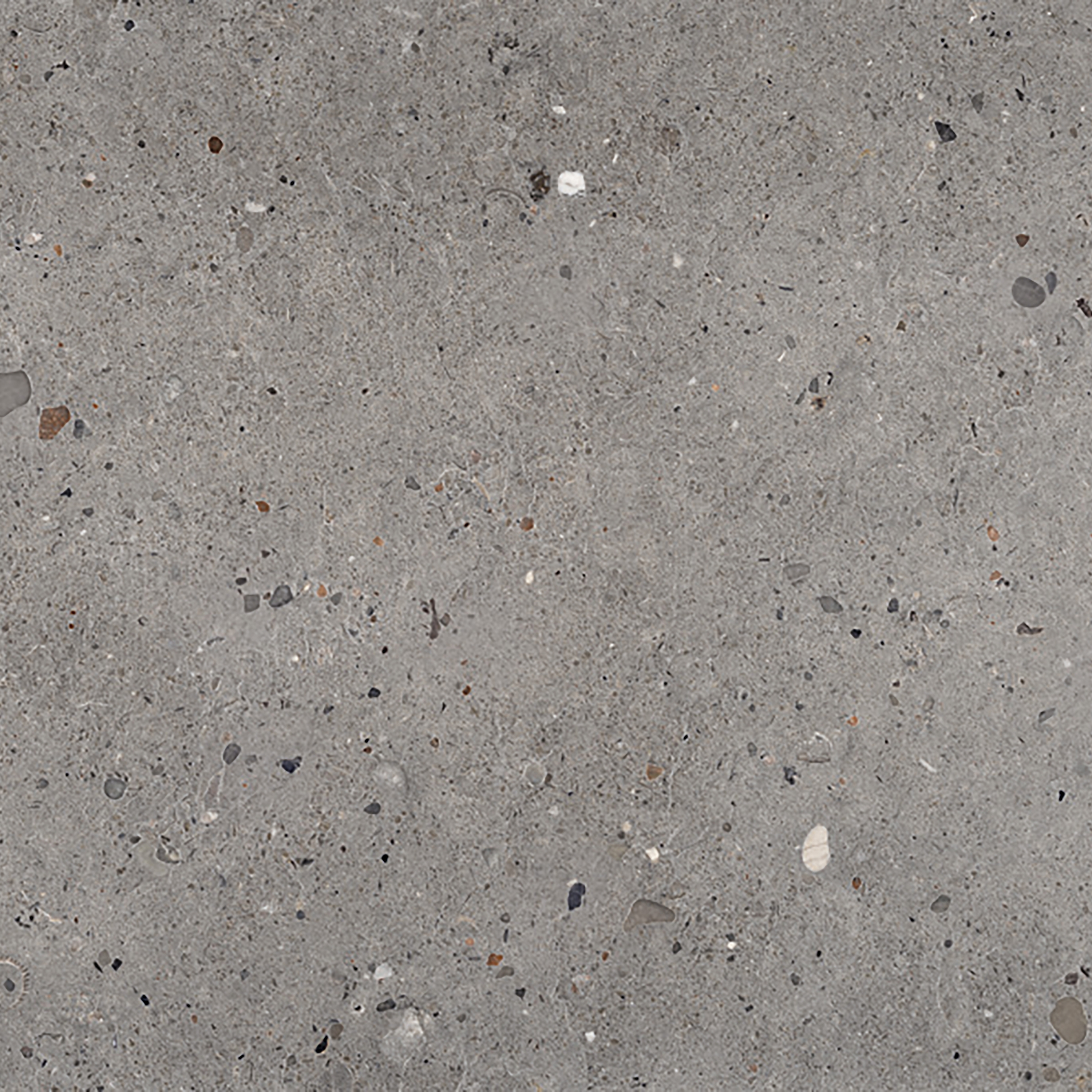 Ego Grigio Scuro