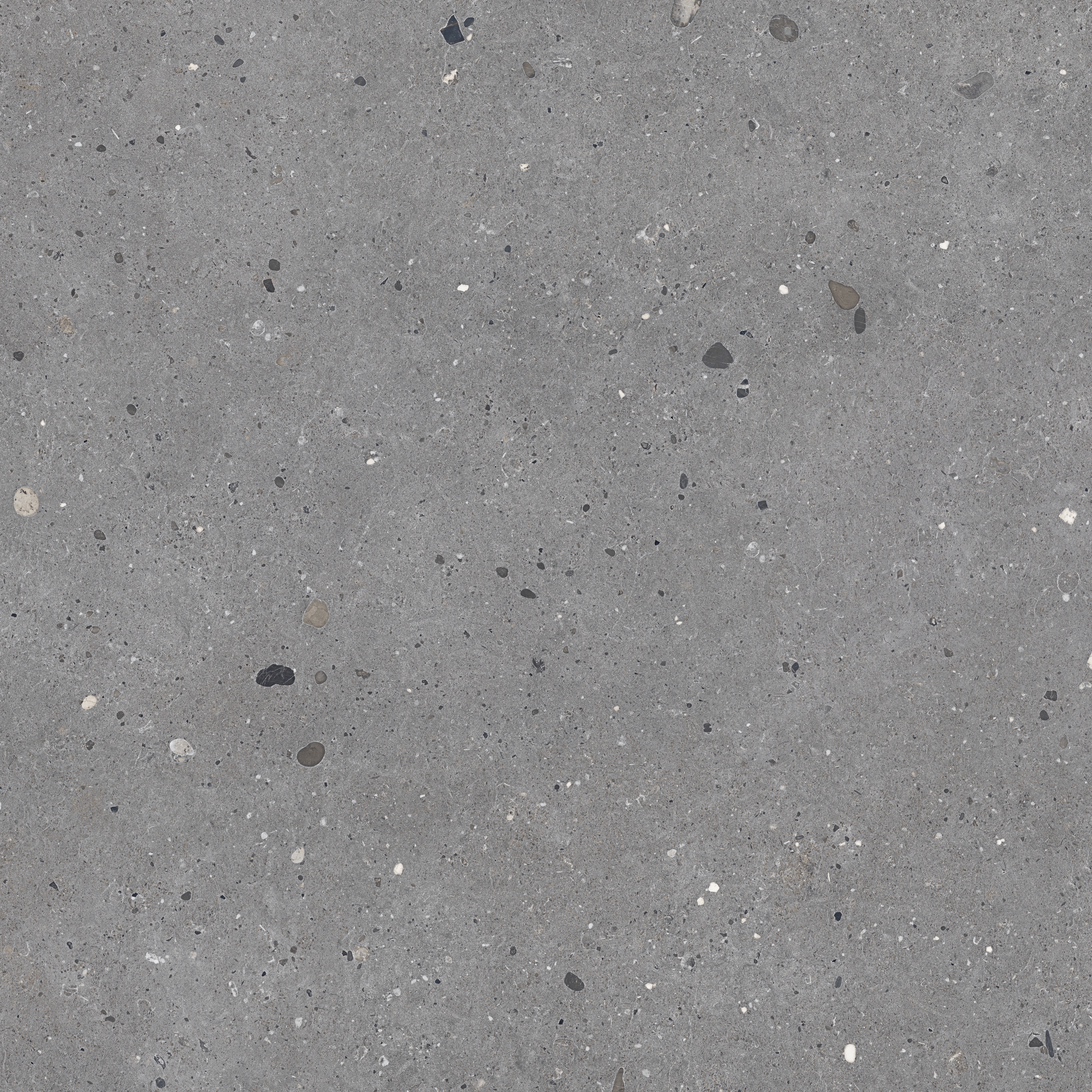 Display product Level Stone Cantera Grey from manufacturer EMILGROUP