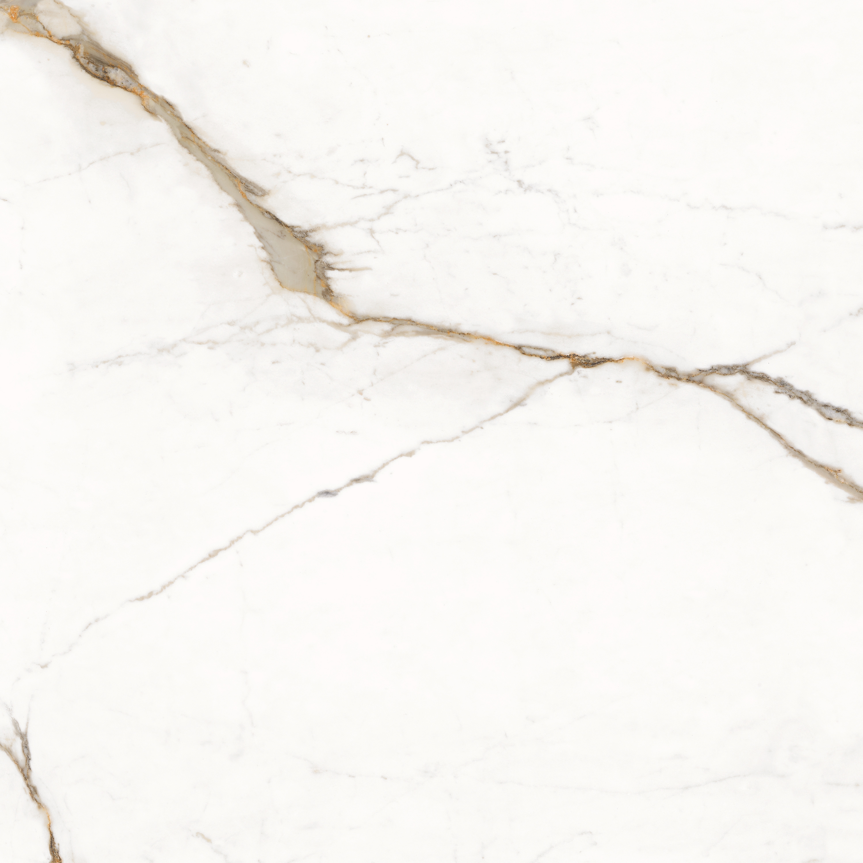 Mostra il prodotto Unique Marble Paonazzetto del produttore EMILGROUP