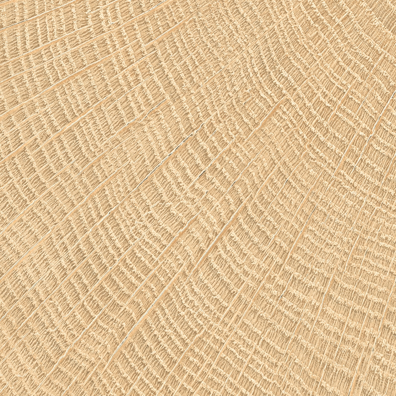 W-Circles Oak
