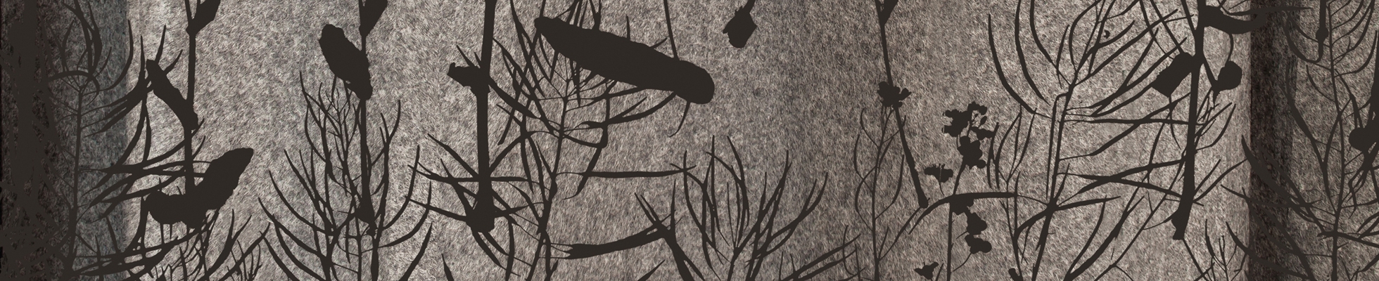 Discover the world of manufacturer Kurage