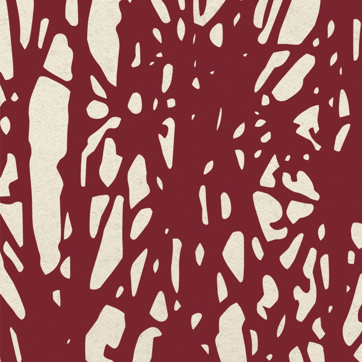 Forest Few