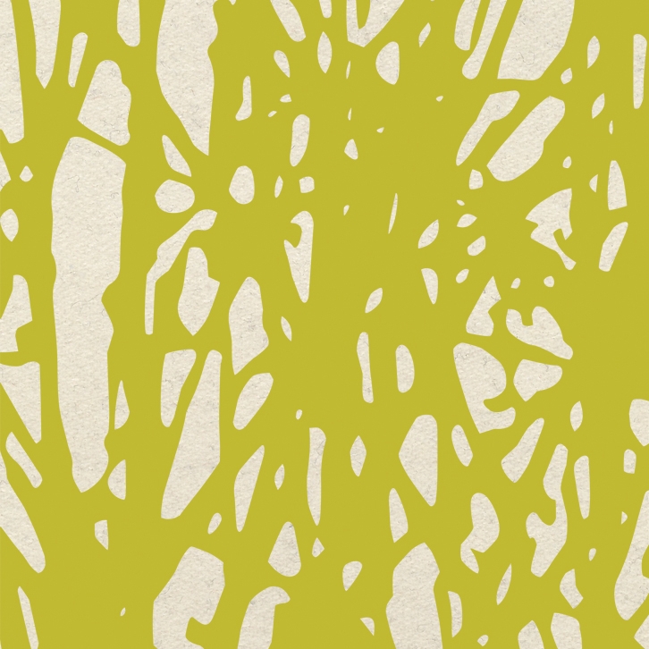 Forest Few