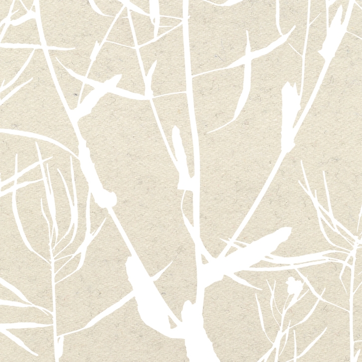 Traces Of Yellow