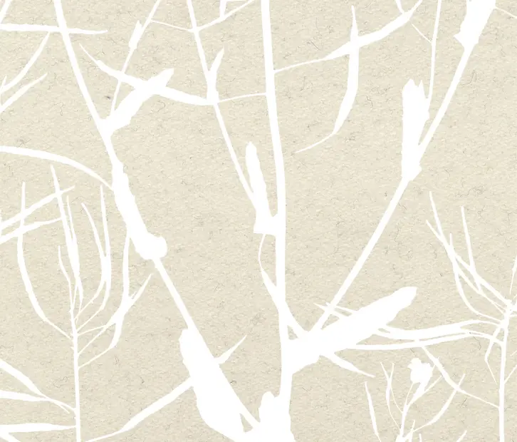 Kurage - Traces Of Yellow
